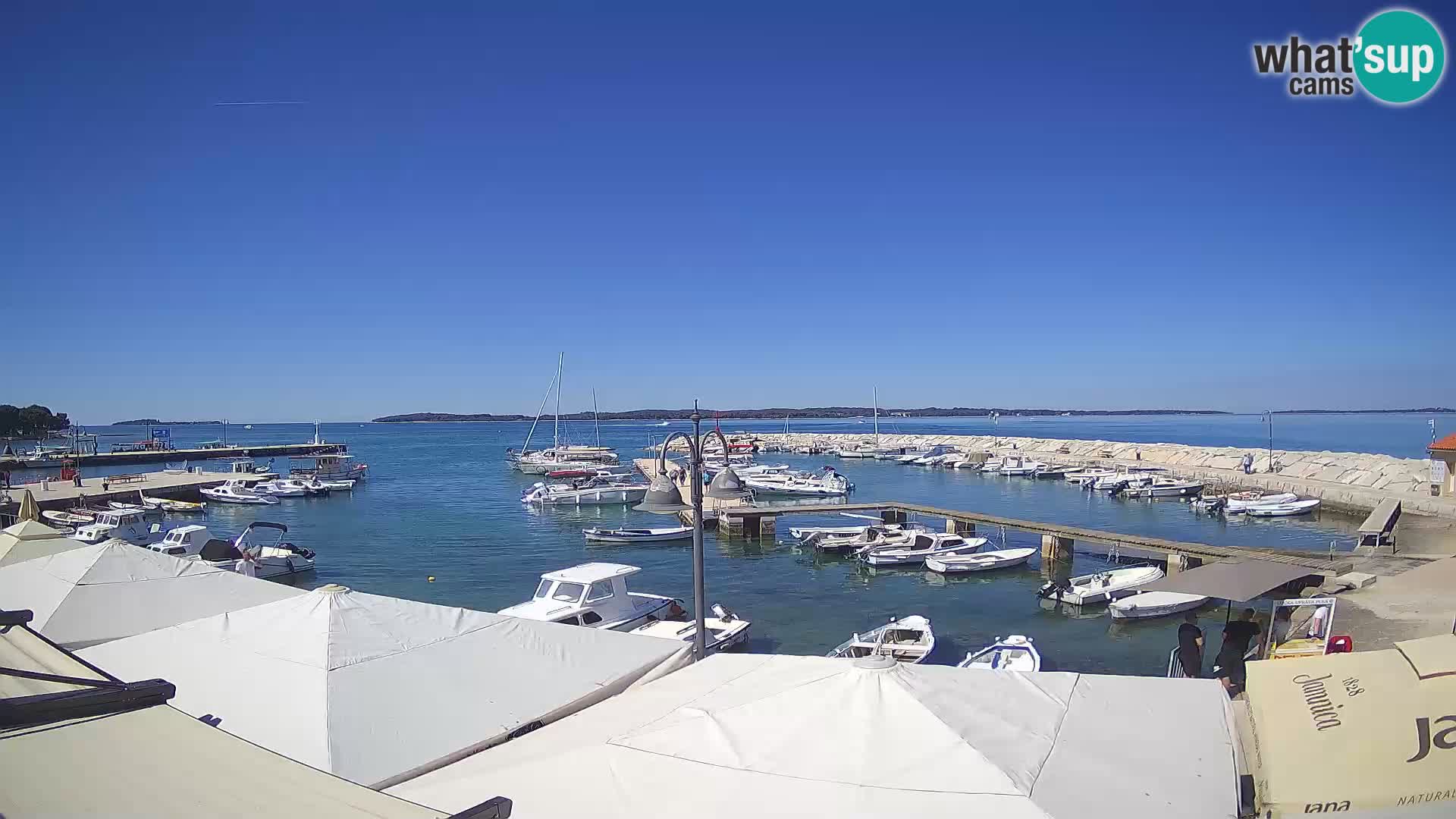 Fažana webcam Riva und Stadthafen – Istrien
