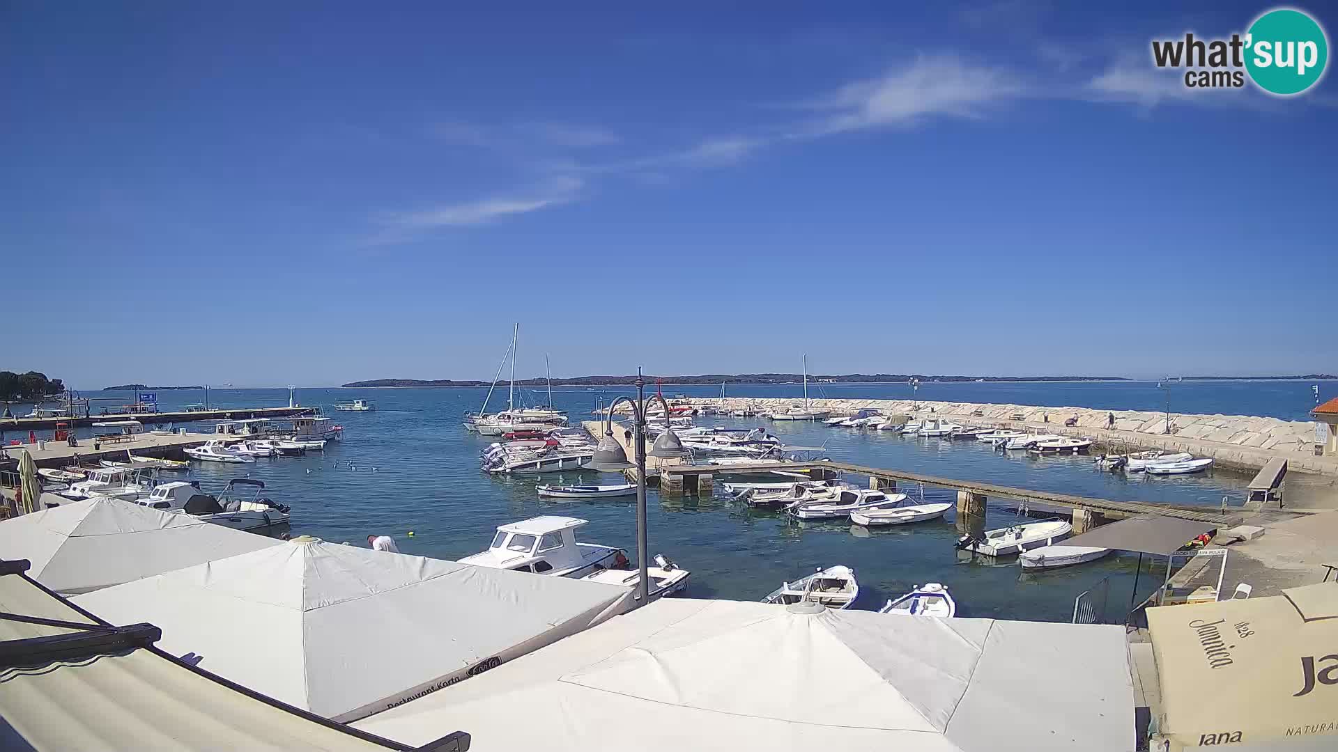 Fažana web kamera riva i gradska marina – Istra