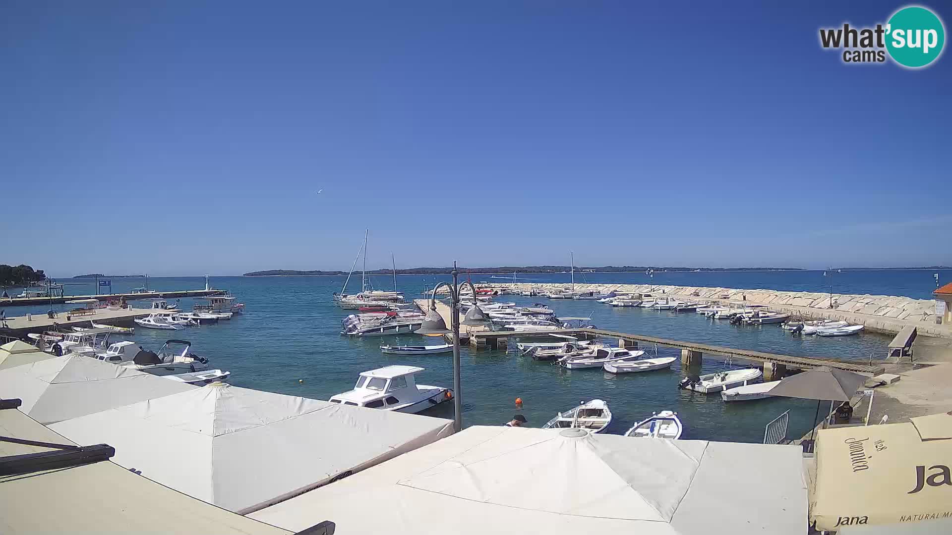 Fažana Livecam riva et marina de la ville – Istrie