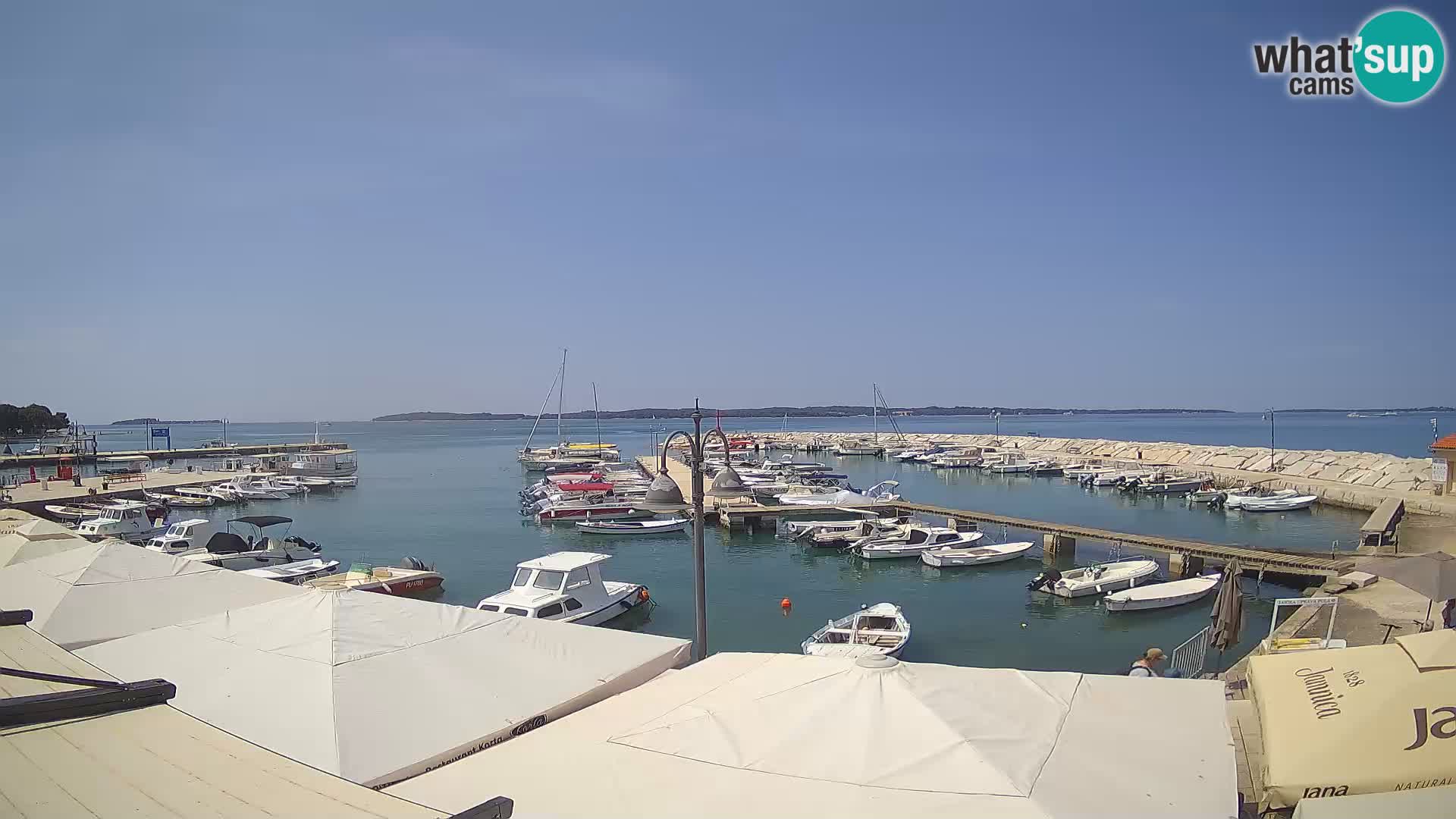 Webcam Fažana riva and city marina – Istria