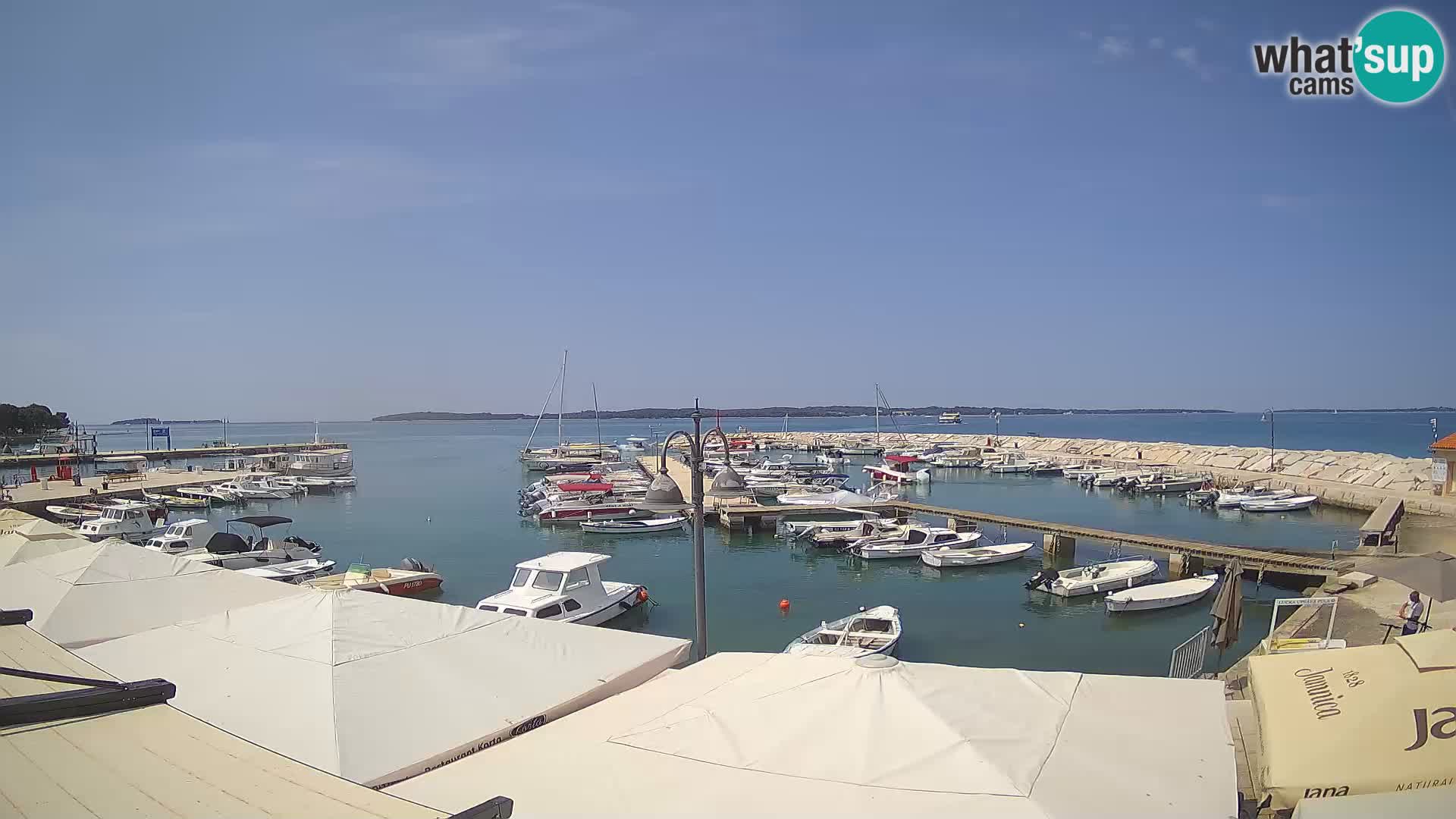 Spletna kamera Fažana riva in mestna marina – Istra