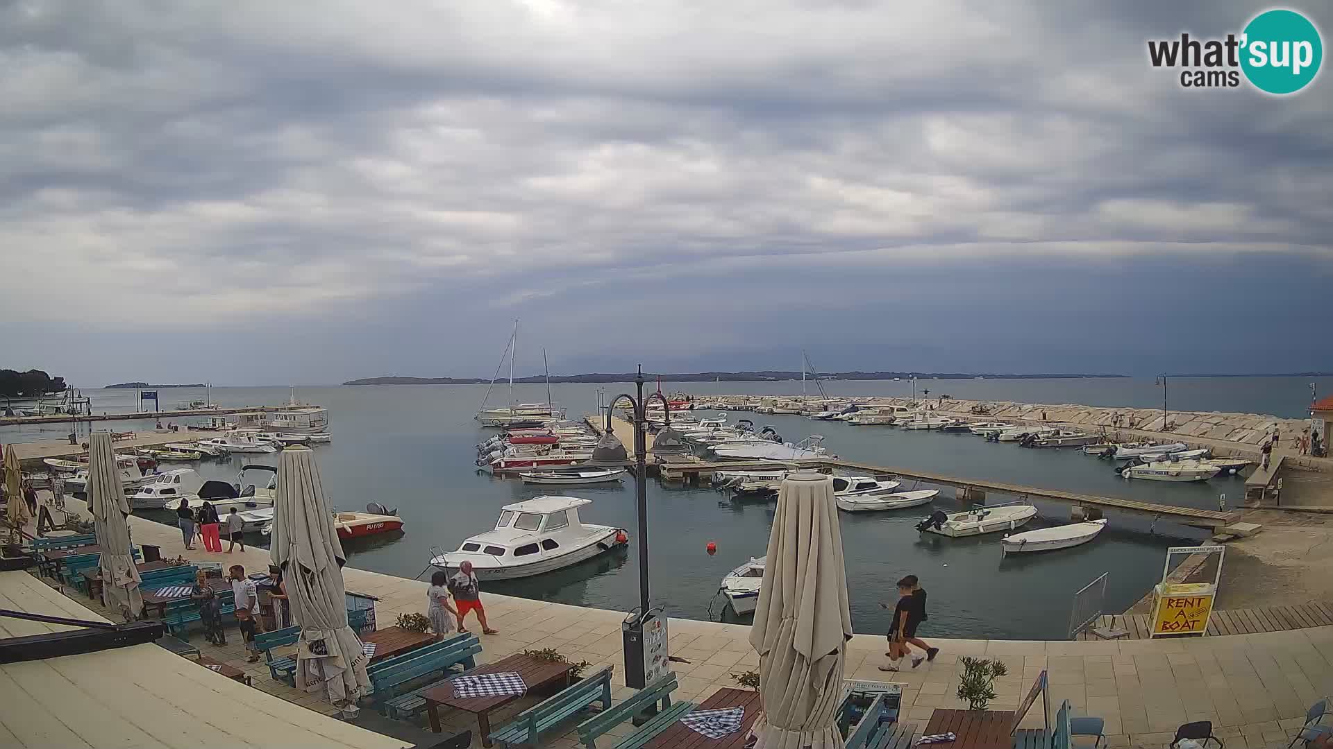 Fažana Camera en vivo riva y marina de la ciudad – Istria