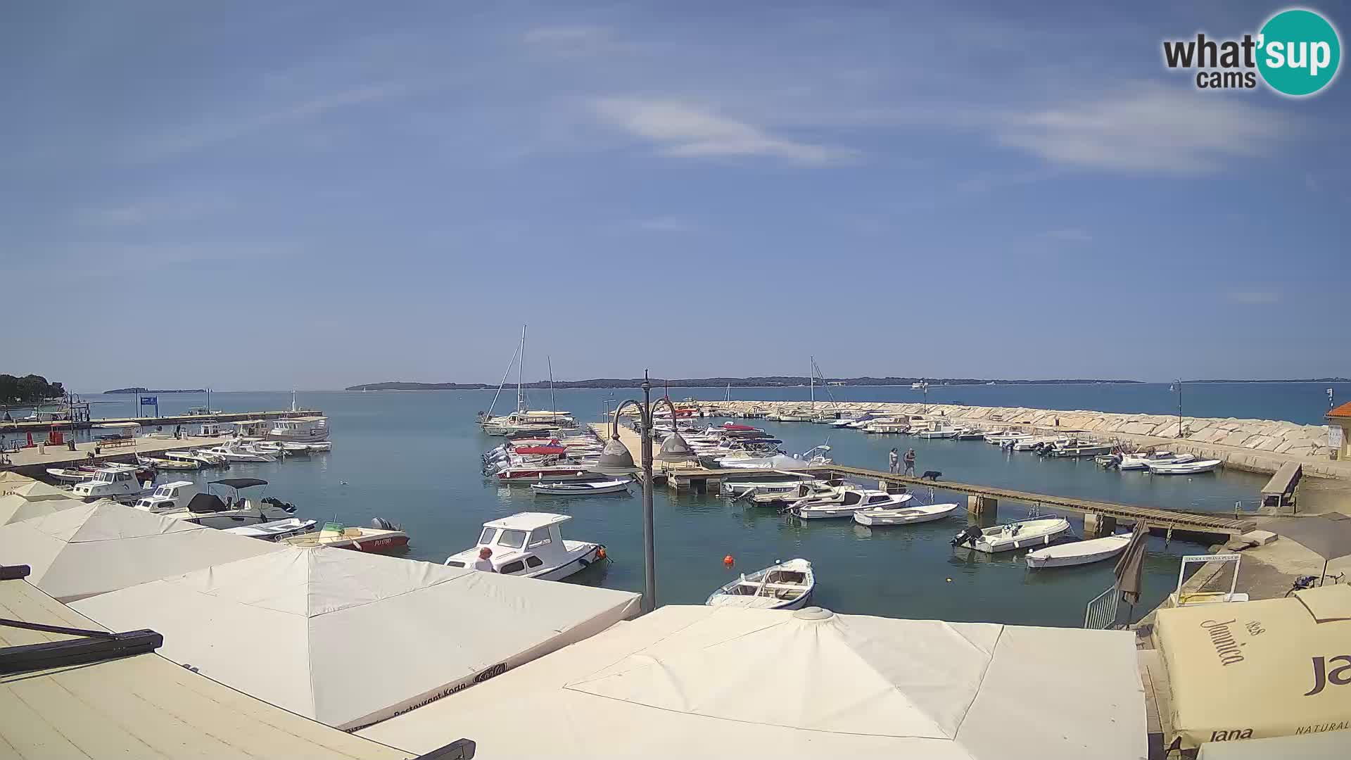 Fažana Livecam riva et marina de la ville – Istrie