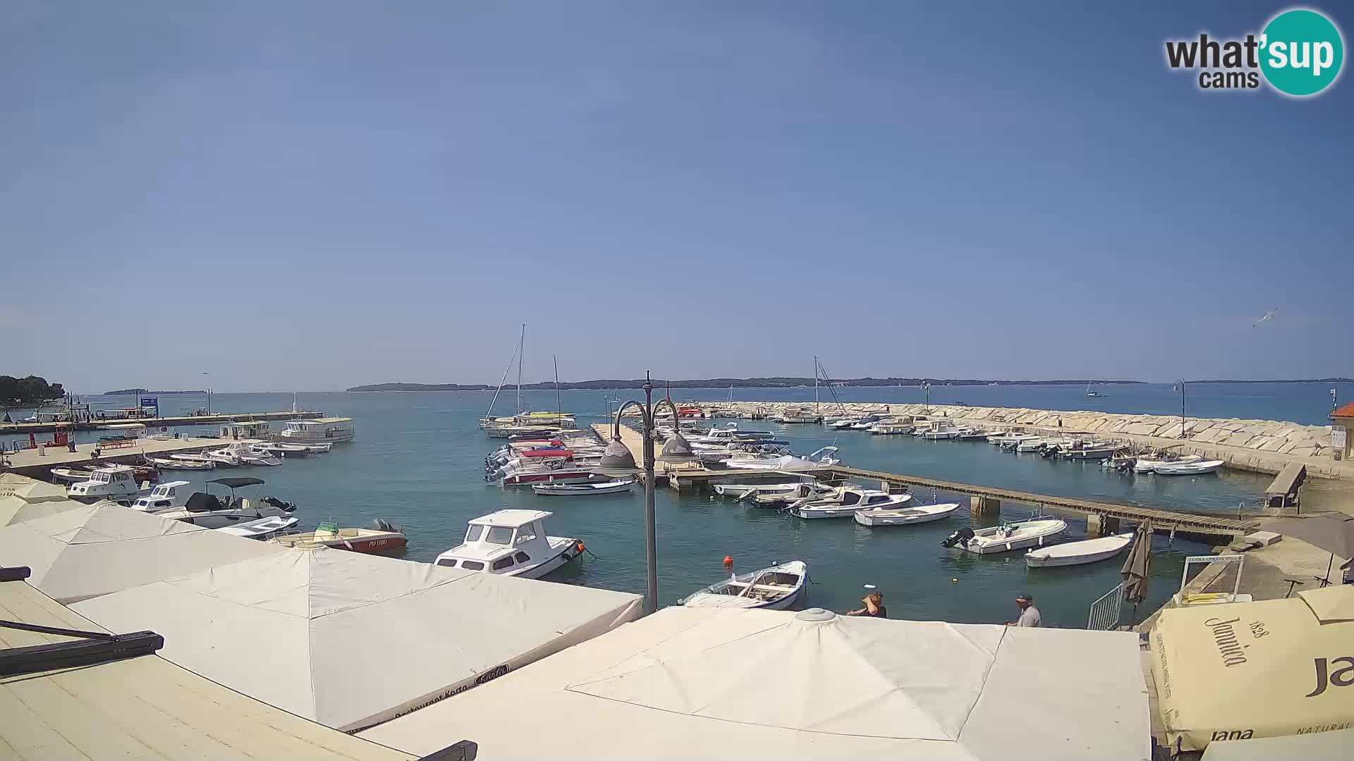 Fažana Camera en vivo riva y marina de la ciudad – Istria