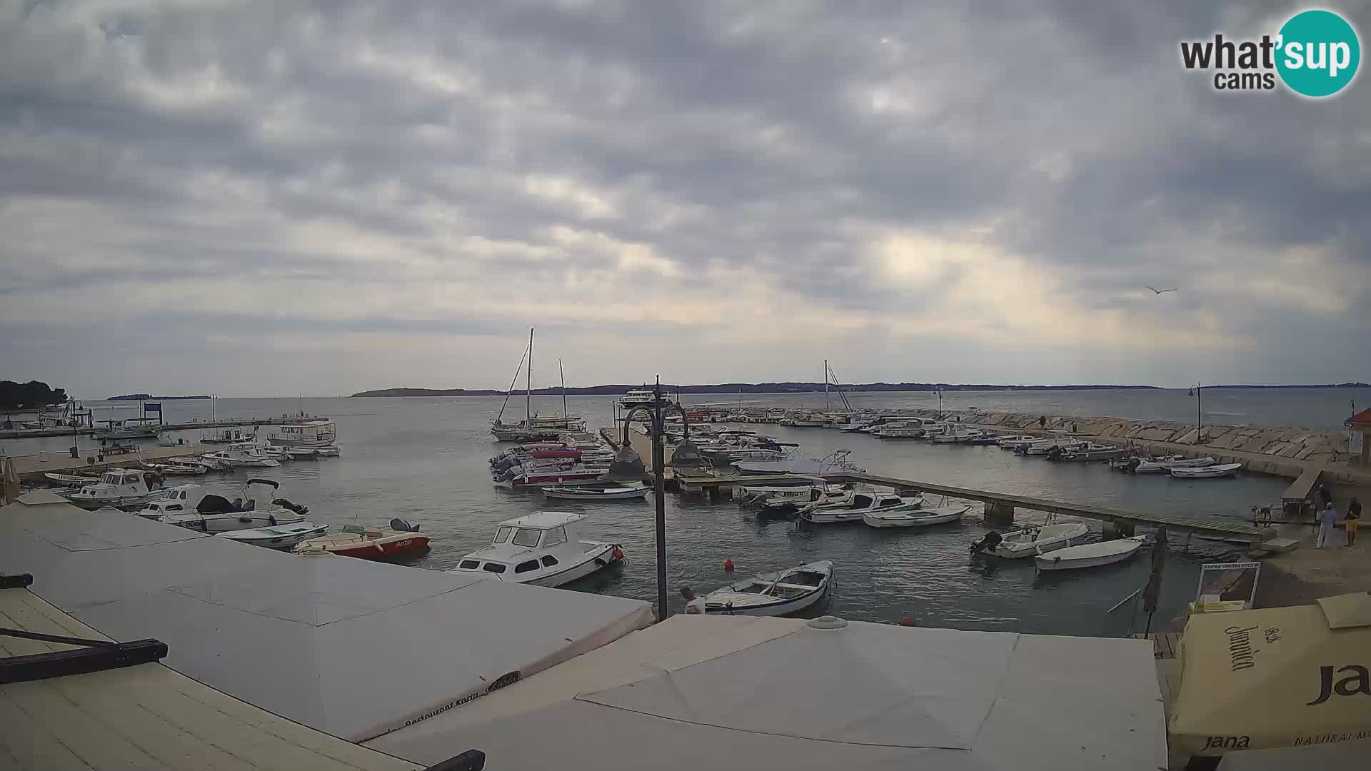 Fažana Livecam riva et marina de la ville – Istrie