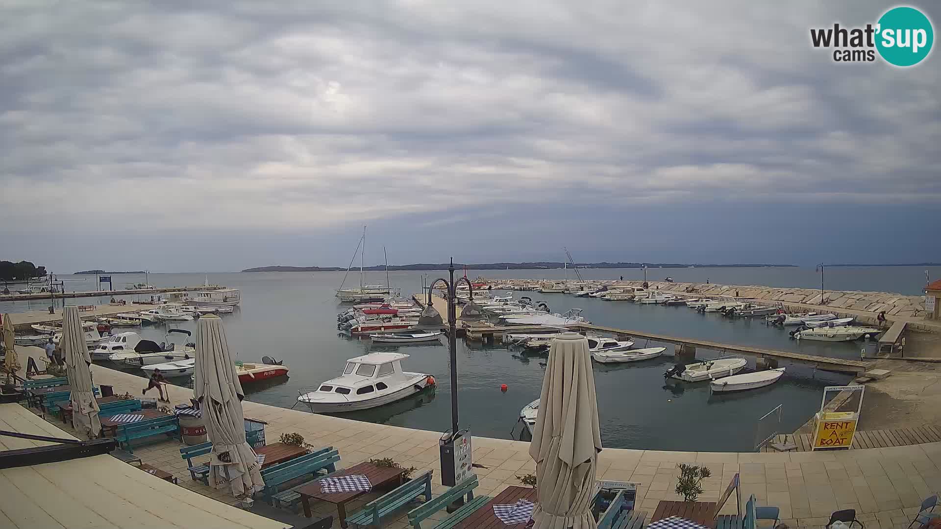 Fažana Camera en vivo riva y marina de la ciudad – Istria