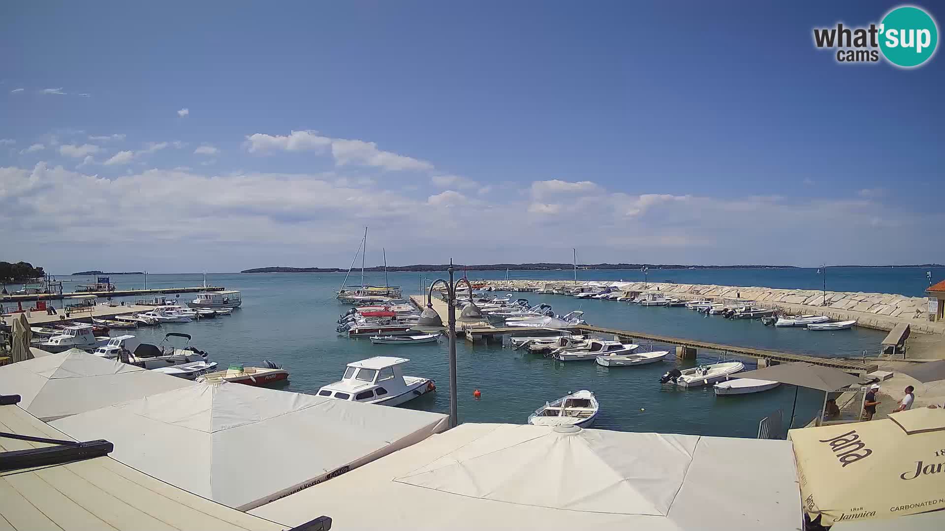 Fažana Camera en vivo riva y marina de la ciudad – Istria