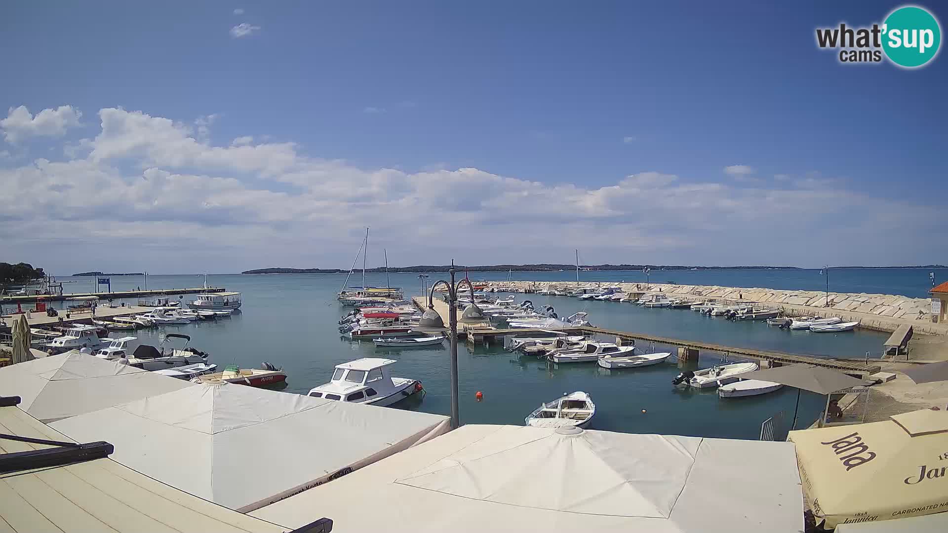 Webcam Fažana riva and city marina – Istria