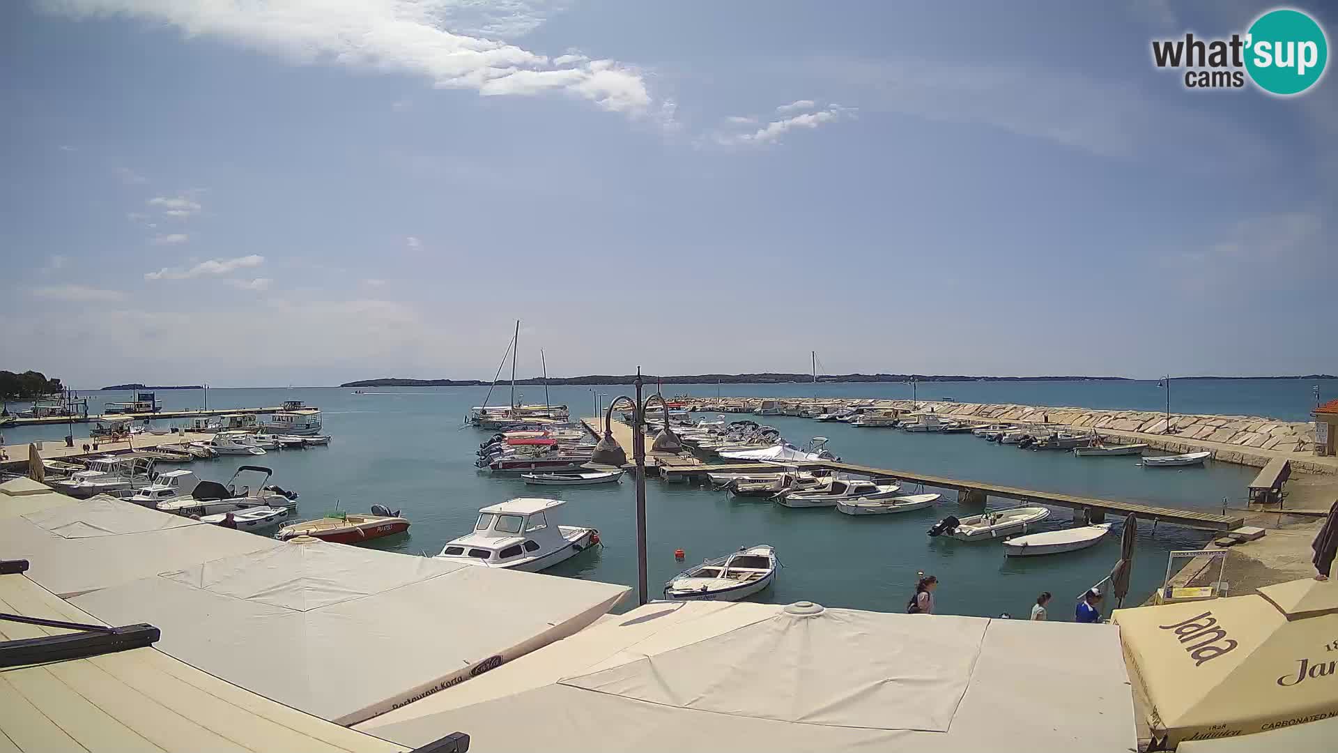 Webcam Fažana riva and city marina – Istria