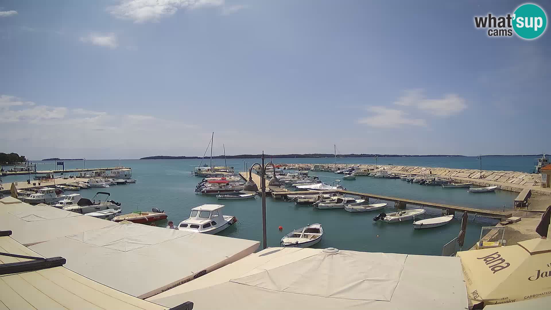 Webcam Fažana riva and city marina – Istria