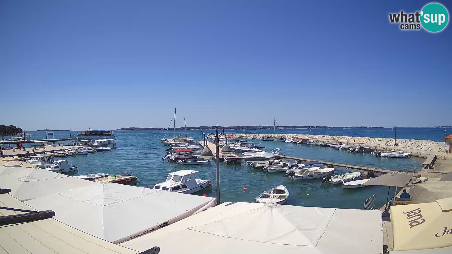 Webcam Fažana riva and city marina – Istria