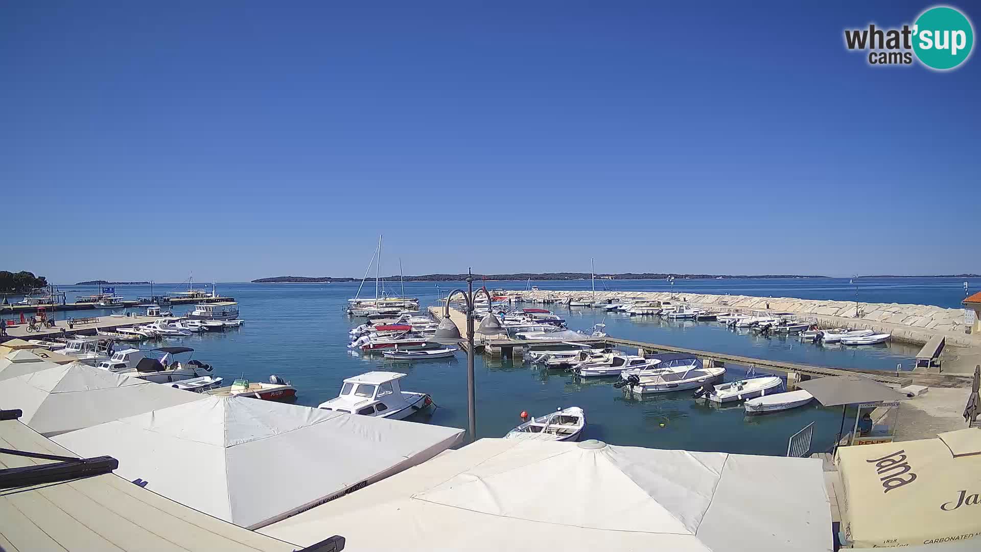 Webcam Fažana riva and city marina – Istria