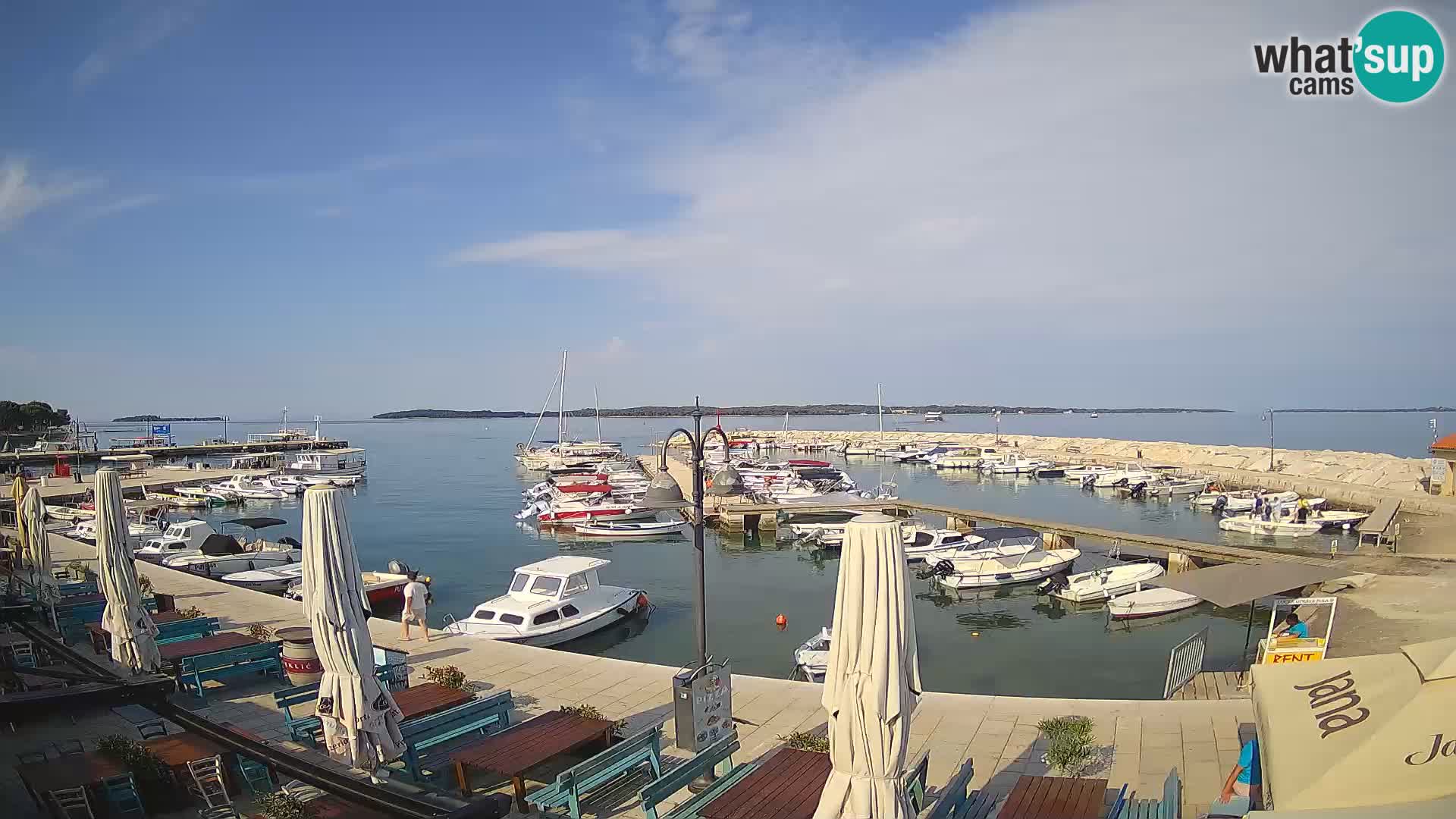 Webcam Fažana riva and city marina – Istria