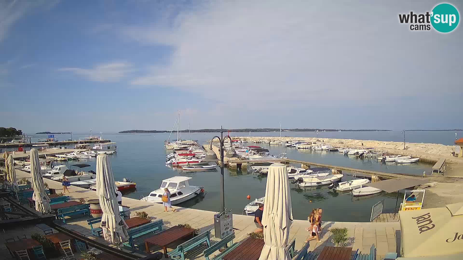 Fažana Camera en vivo riva y marina de la ciudad – Istria