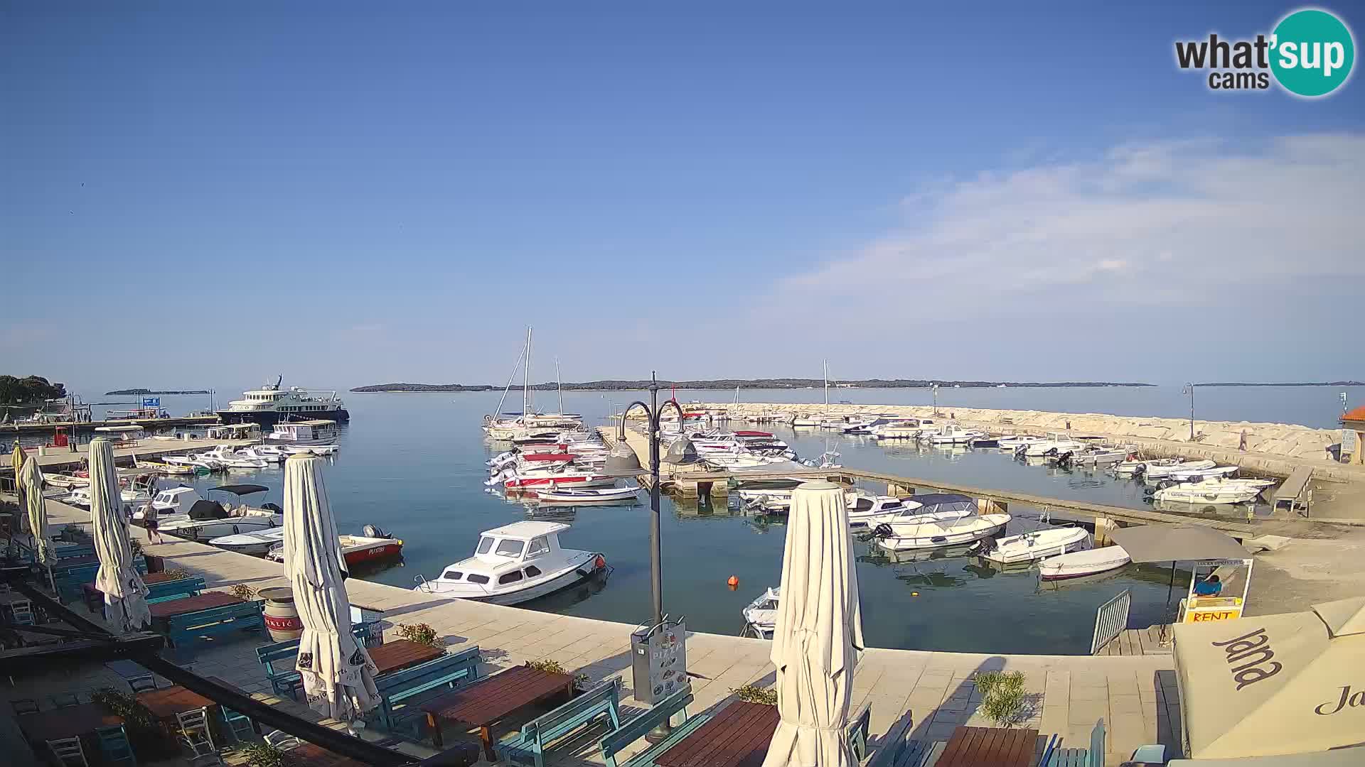 Webcam Fažana riva and city marina – Istria