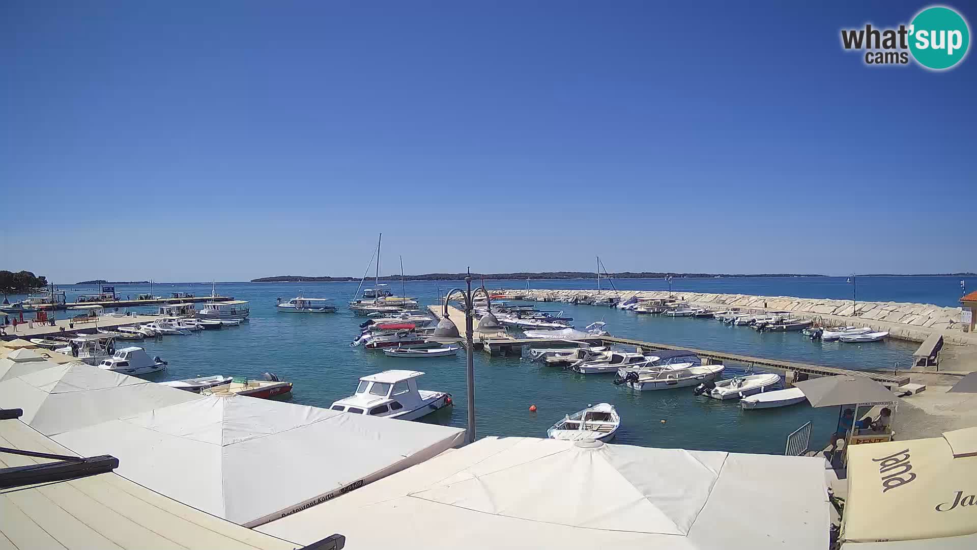 Webcam Fažana riva and city marina – Istria