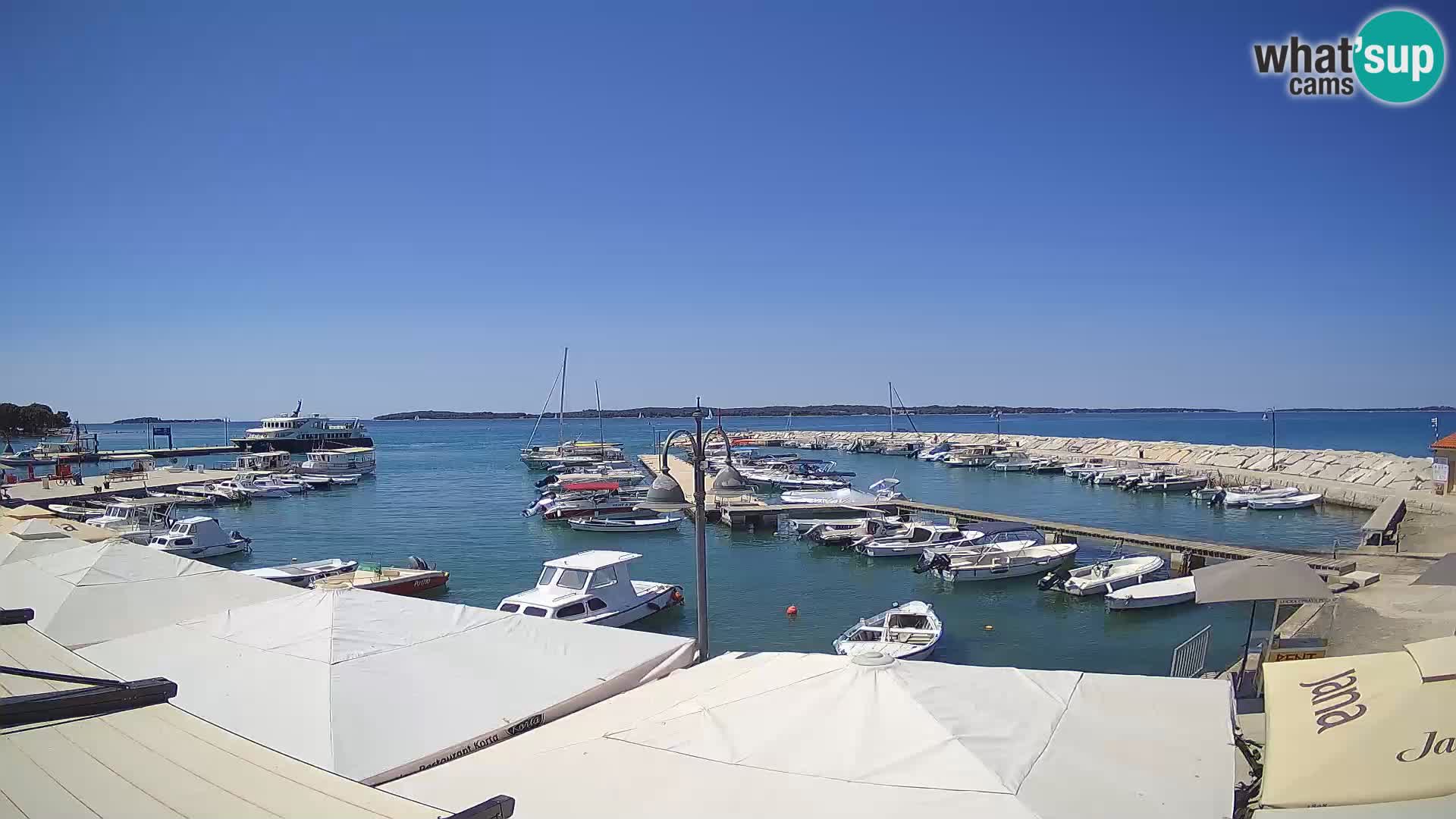 Webcam Fažana riva and city marina – Istria