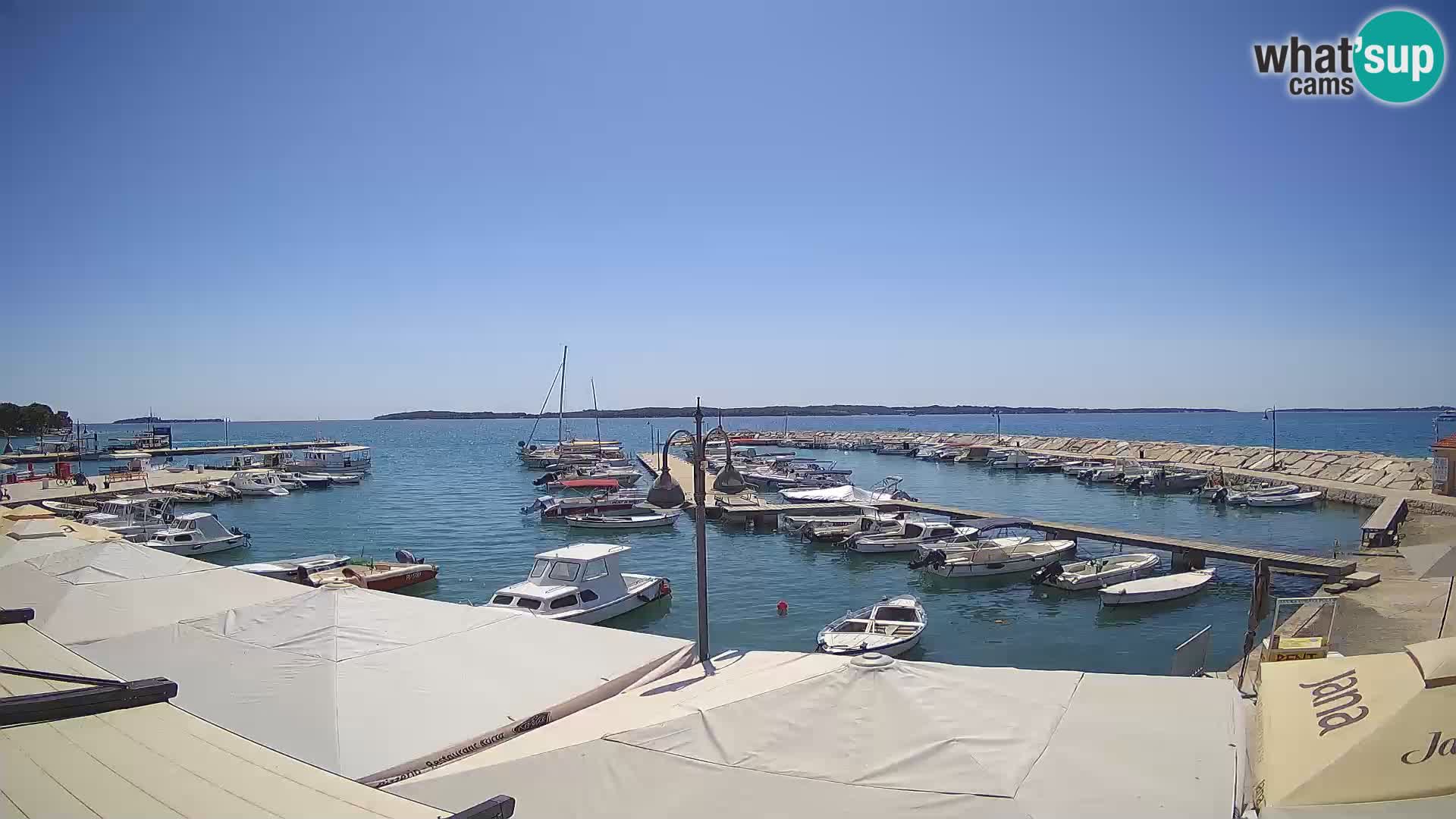 Webcam Fažana riva and city marina – Istria