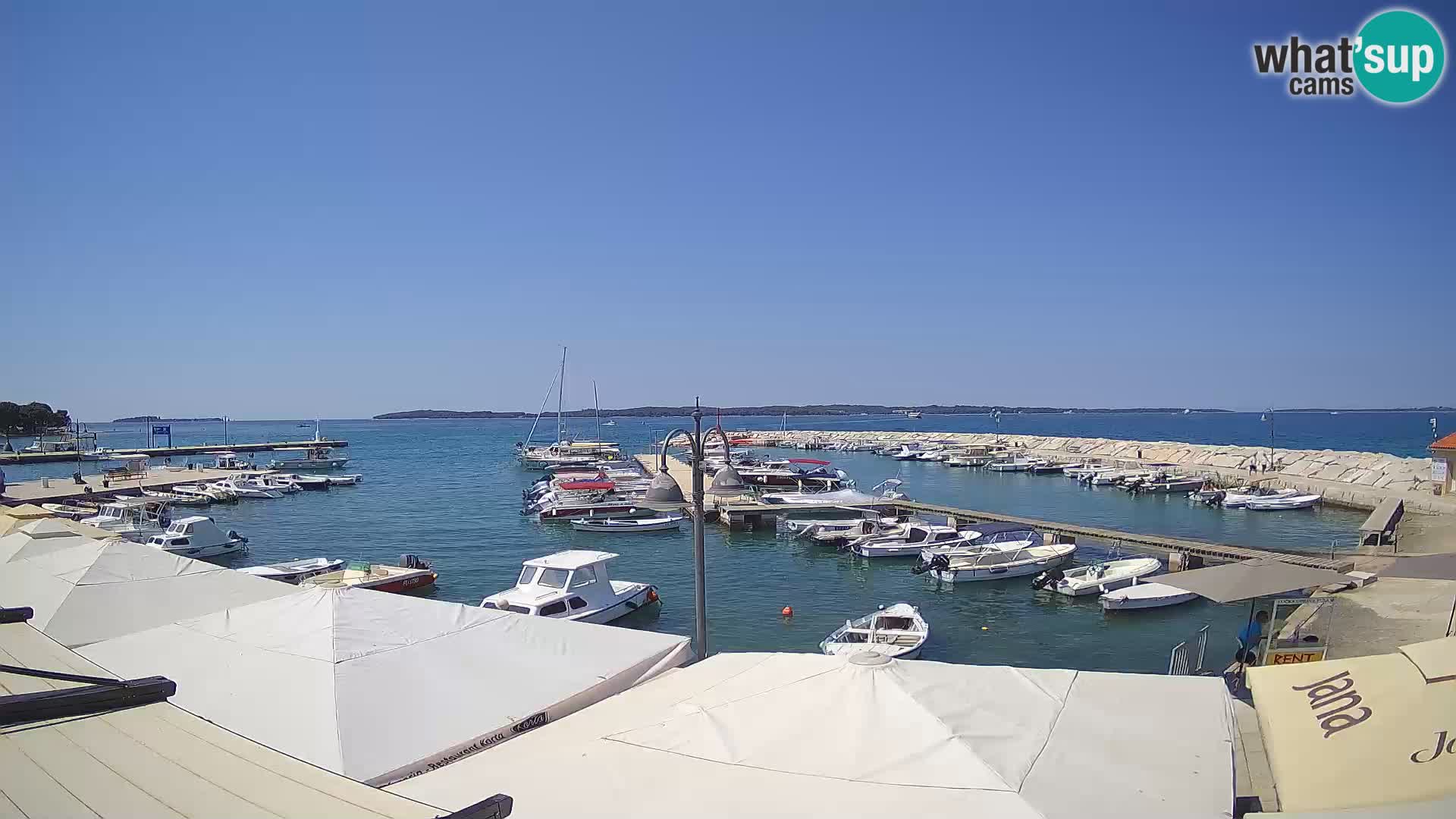 Webcam Fažana riva and city marina – Istria