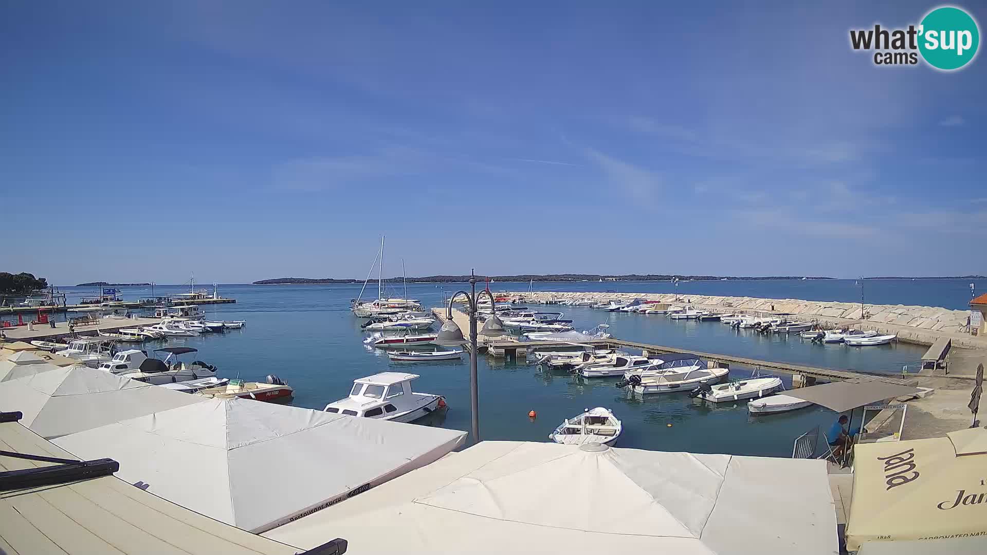 Fažana Camera en vivo riva y marina de la ciudad – Istria