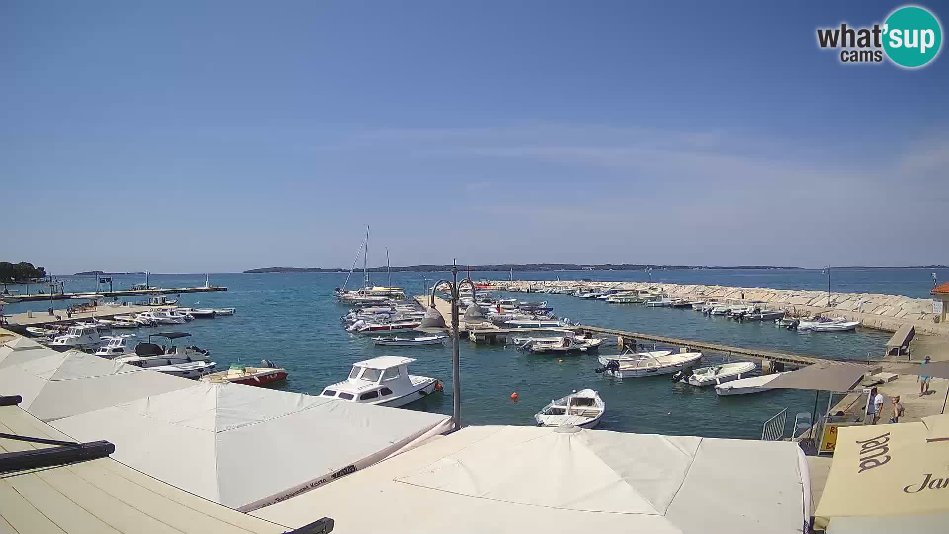 Spletna kamera Fažana riva in mestna marina – Istra