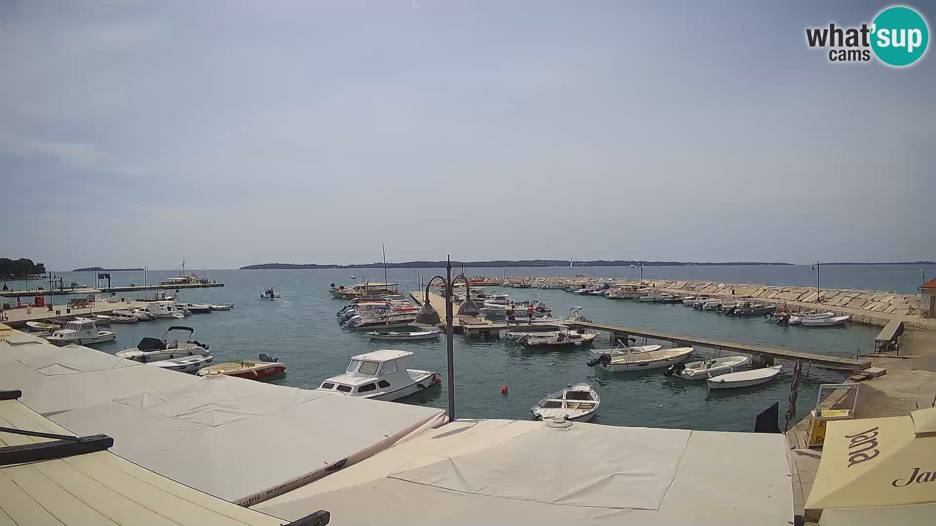 Webcam Fažana riva and city marina – Istria