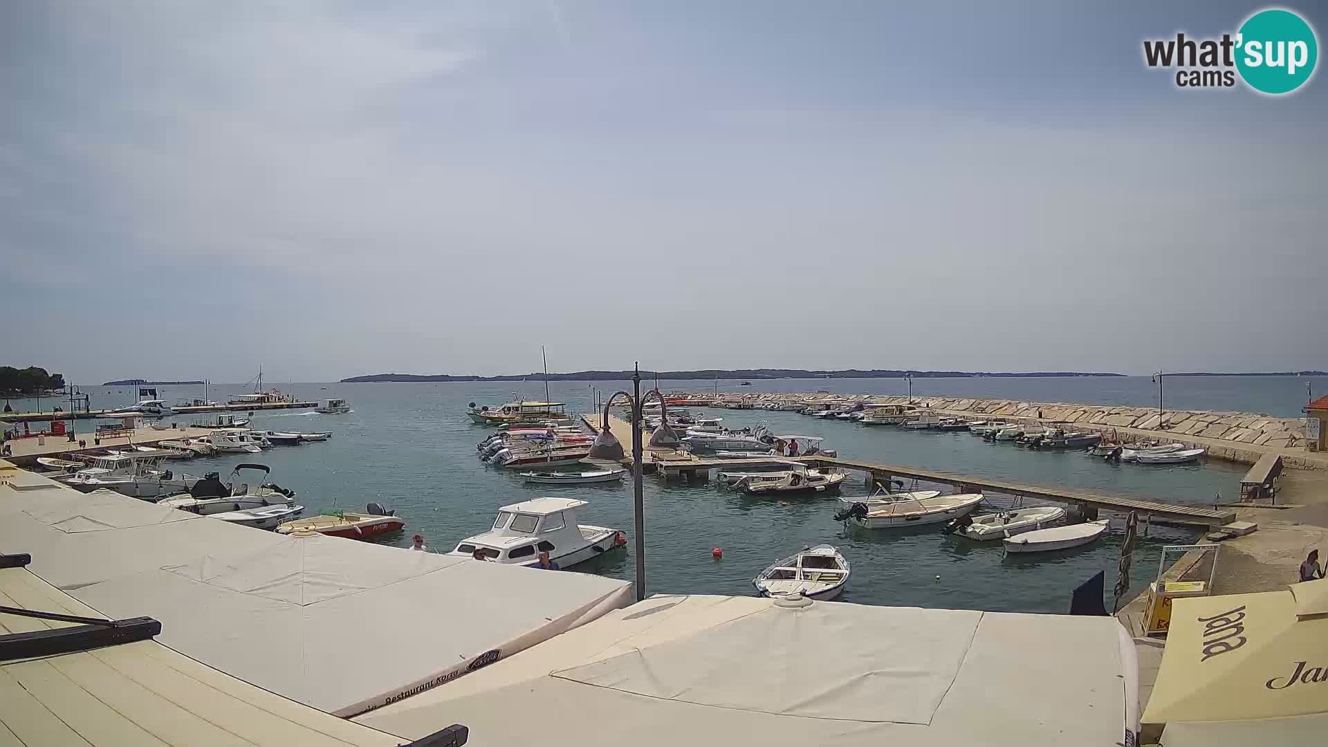 Webcam Fažana riva and city marina – Istria
