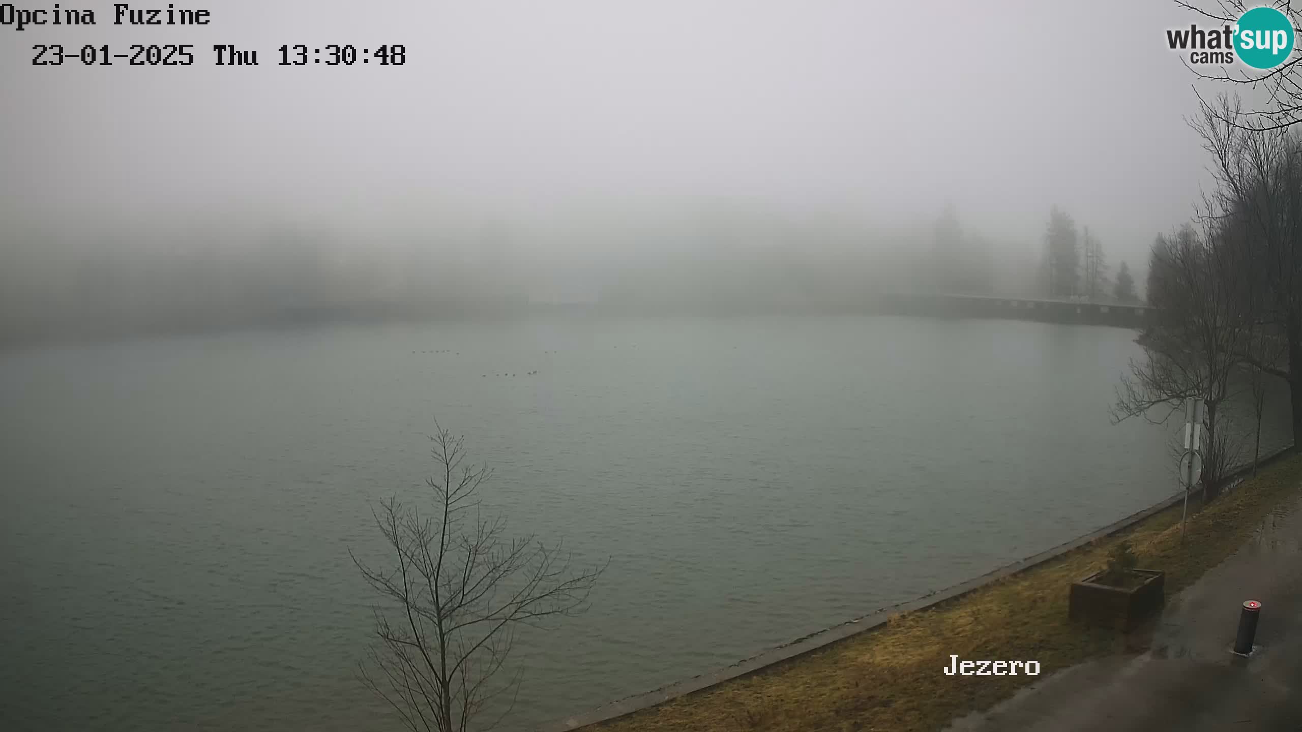 LIVE lago Bajer webcam Bajersko Jezero Fužine