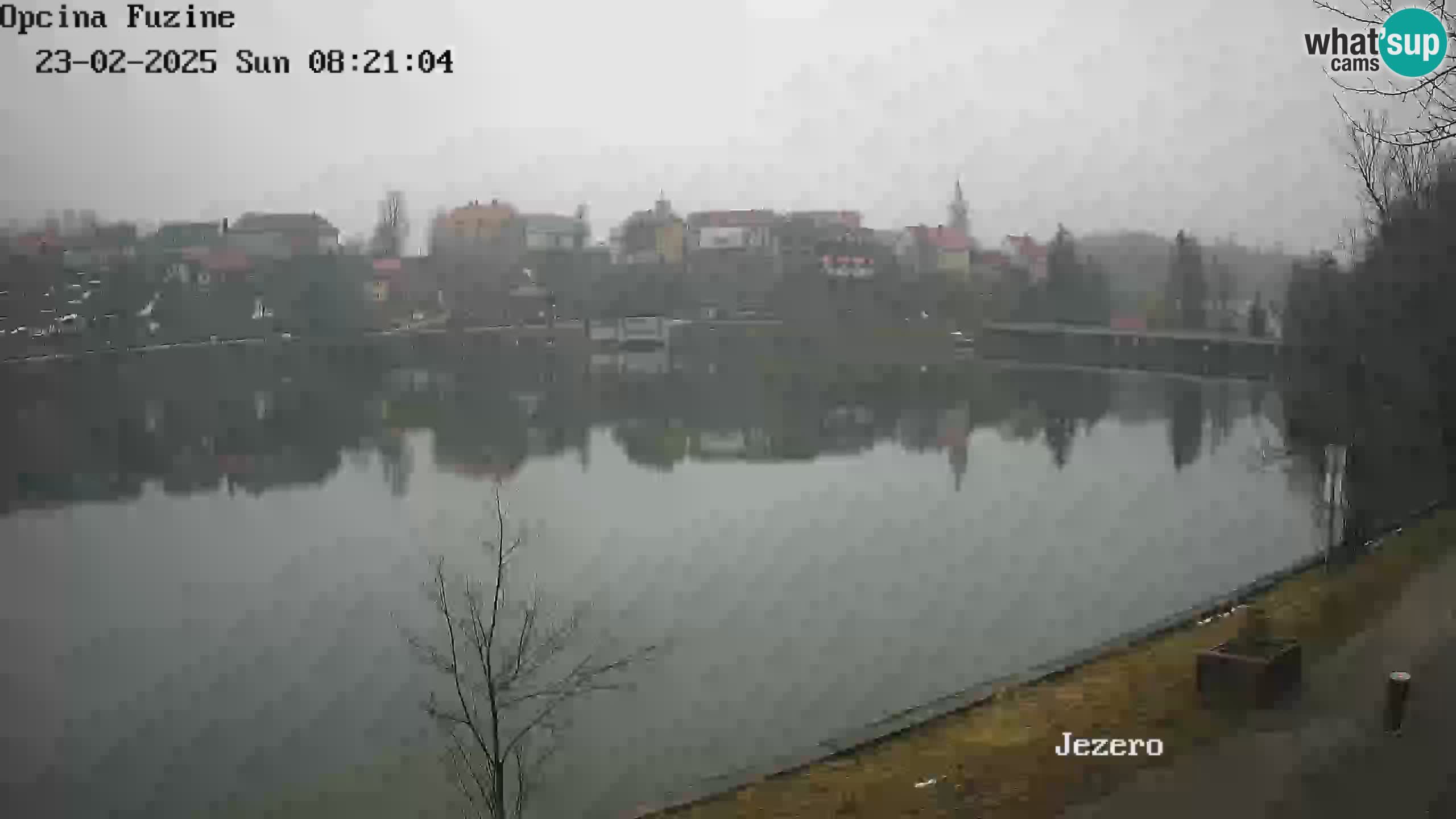 LIVE lago Bajer webcam Bajersko Jezero Fužine