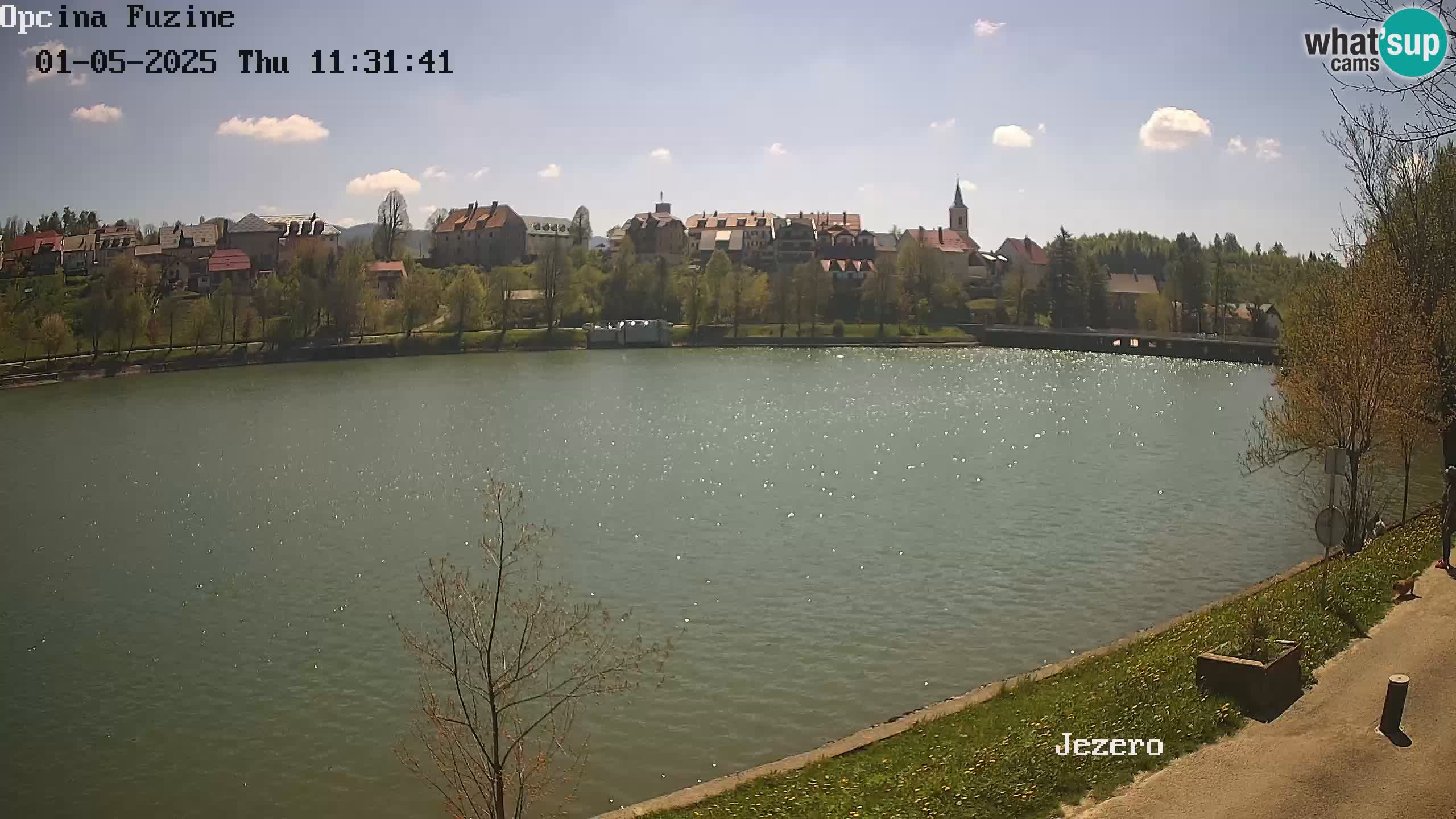 LIVE lago Bajer webcam Bajersko Jezero Fužine