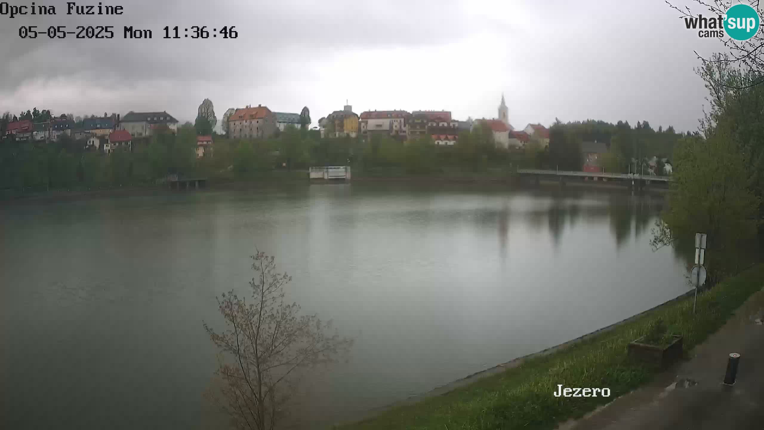 LIVE lago Bajer webcam Bajersko Jezero Fužine