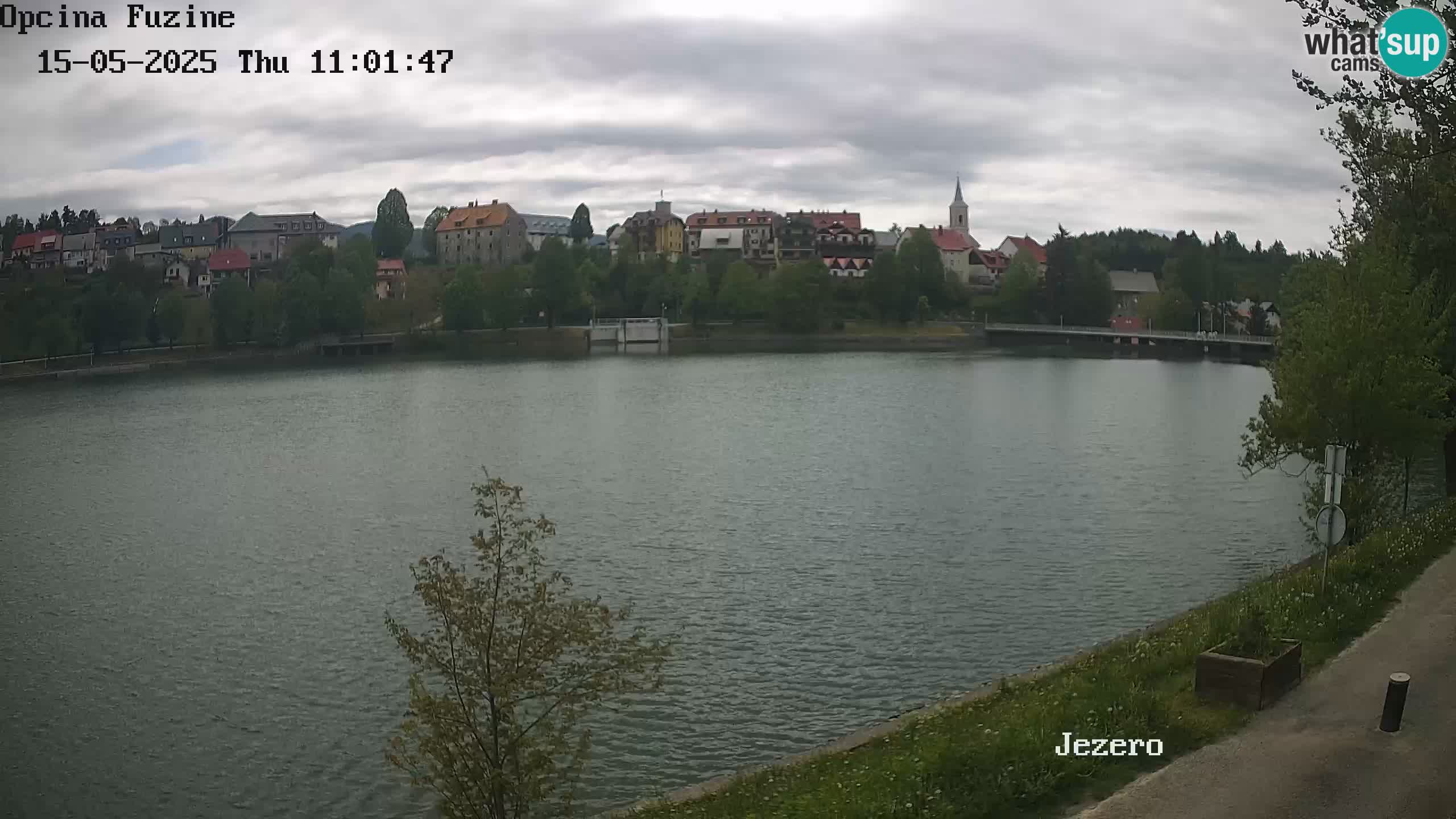 LIVE lago Bajer webcam Bajersko Jezero Fužine