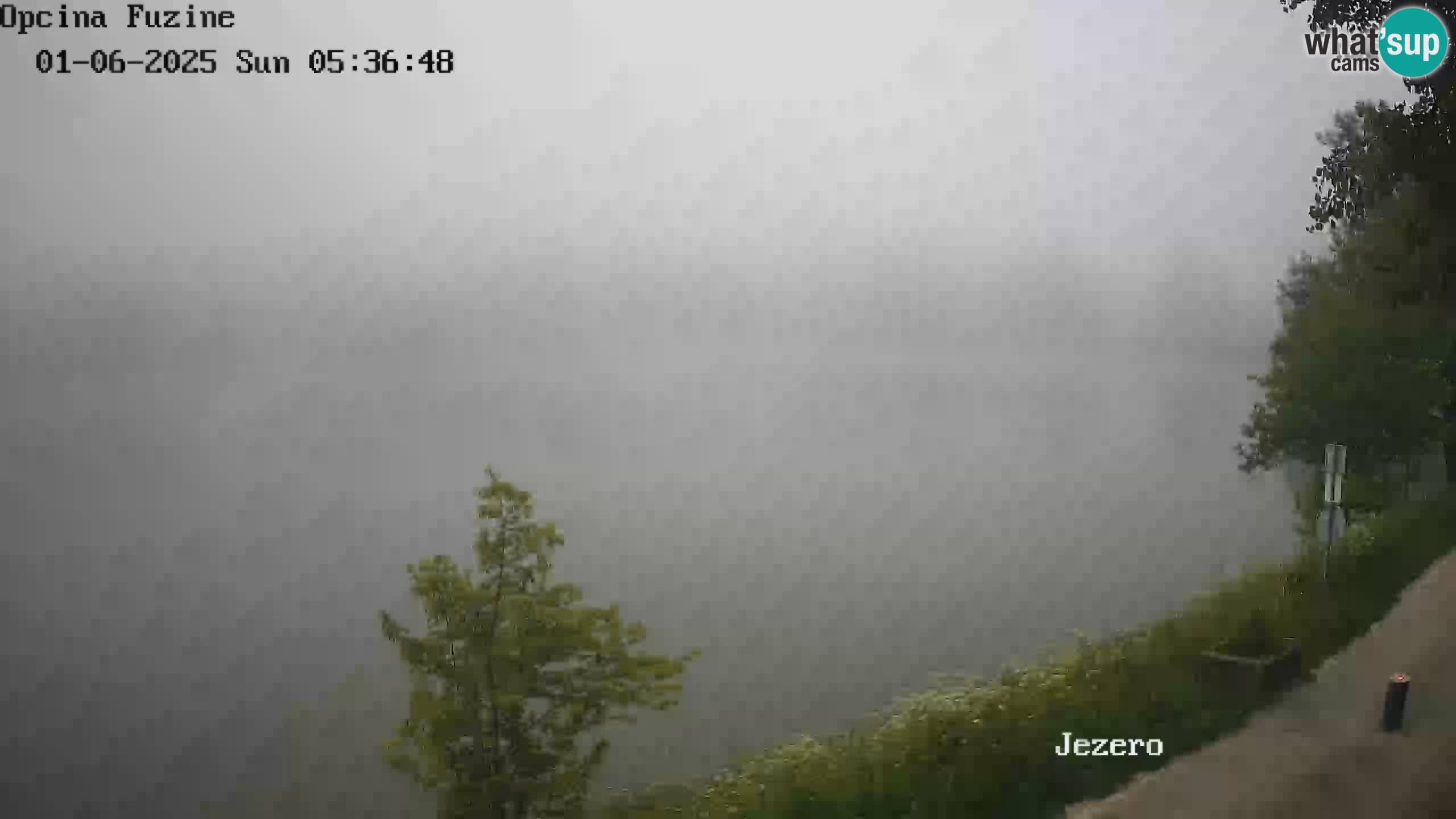 LIVE lago Bajer webcam Bajersko Jezero Fužine