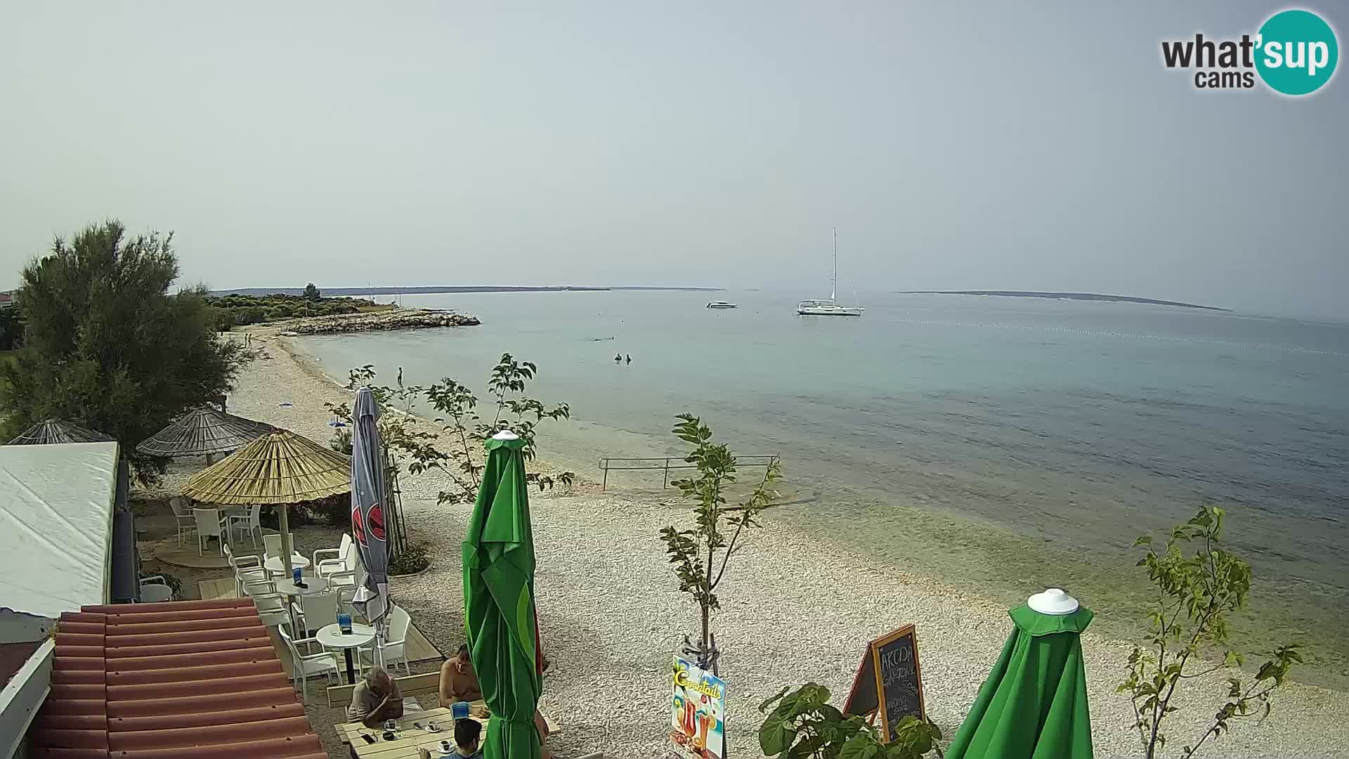 Webcam Strand in Gajac – Pag – Kroatien