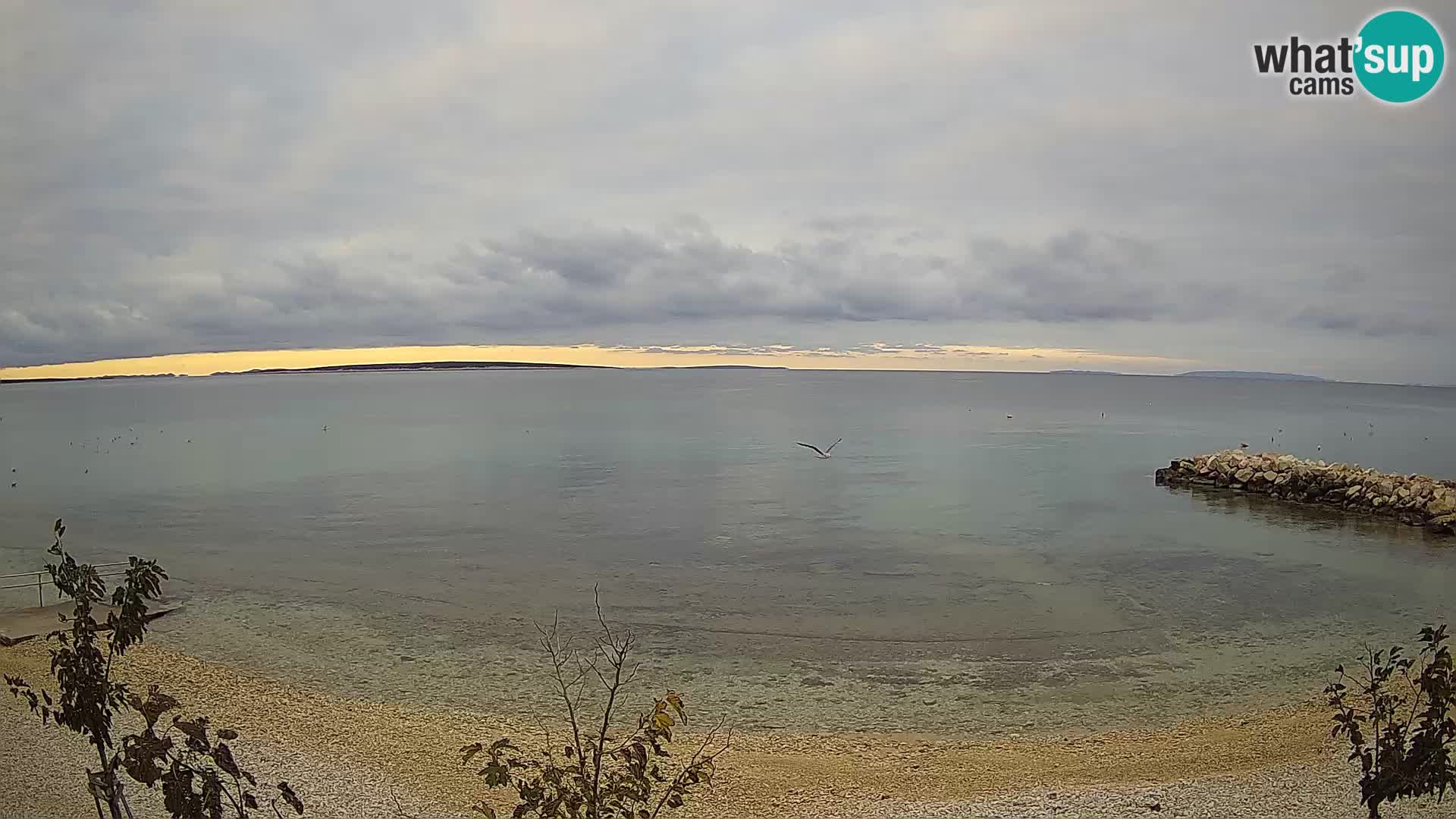 Spletna kamera Plaža Gajac – Pag – Hrvaška