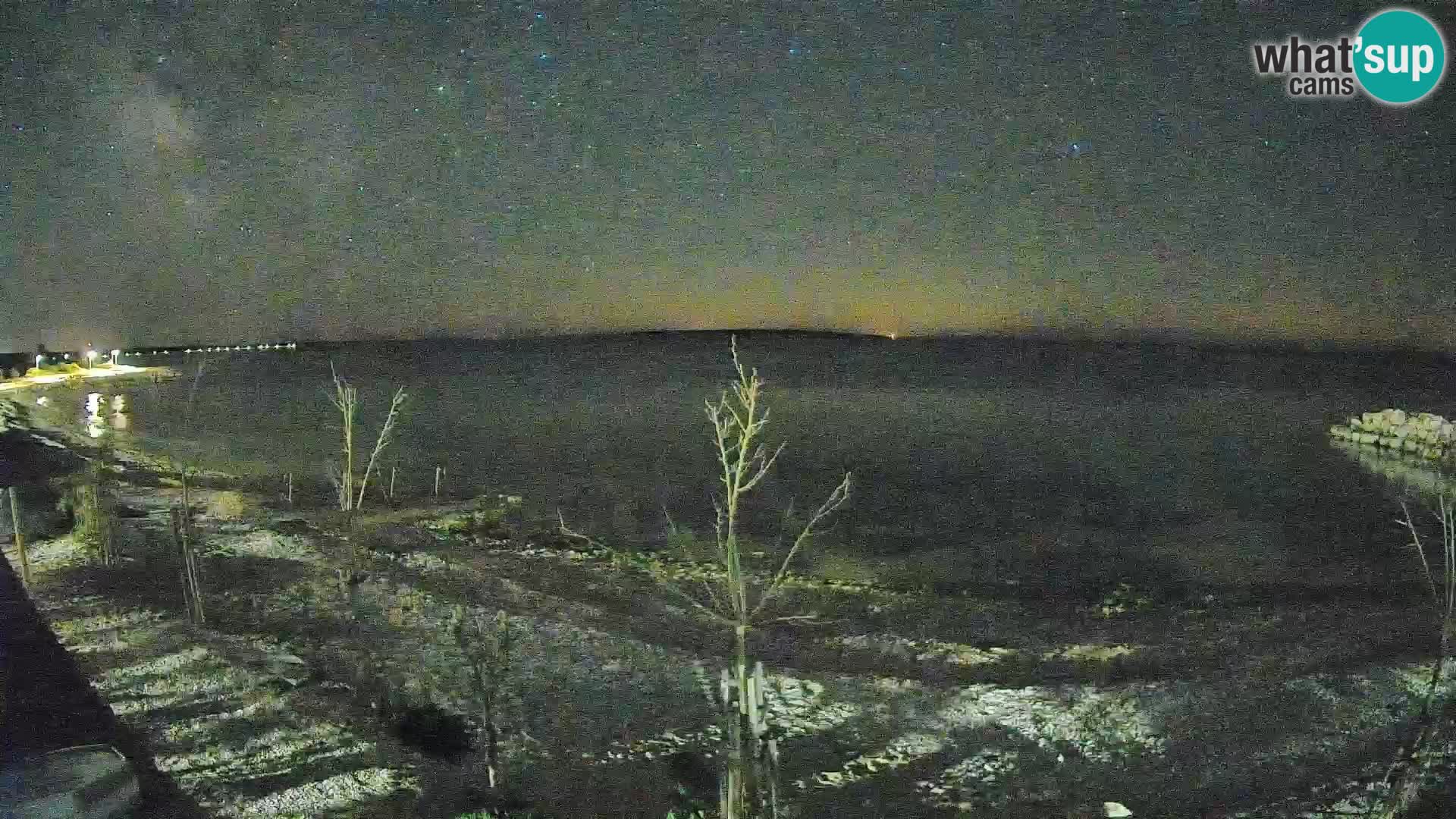 Live Webcam Gajac beach – Pag