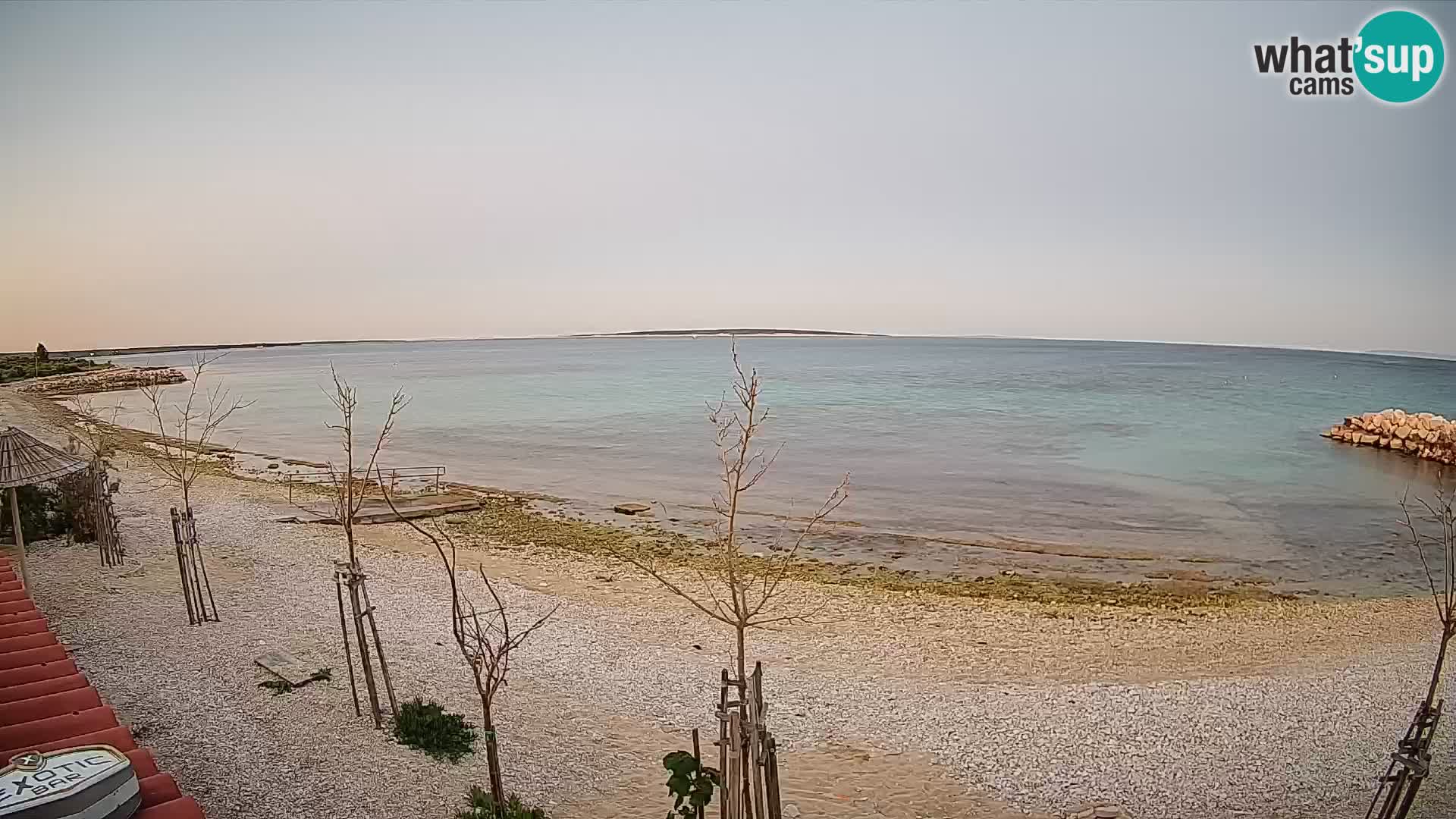 Live Webcam Gajac beach – Pag