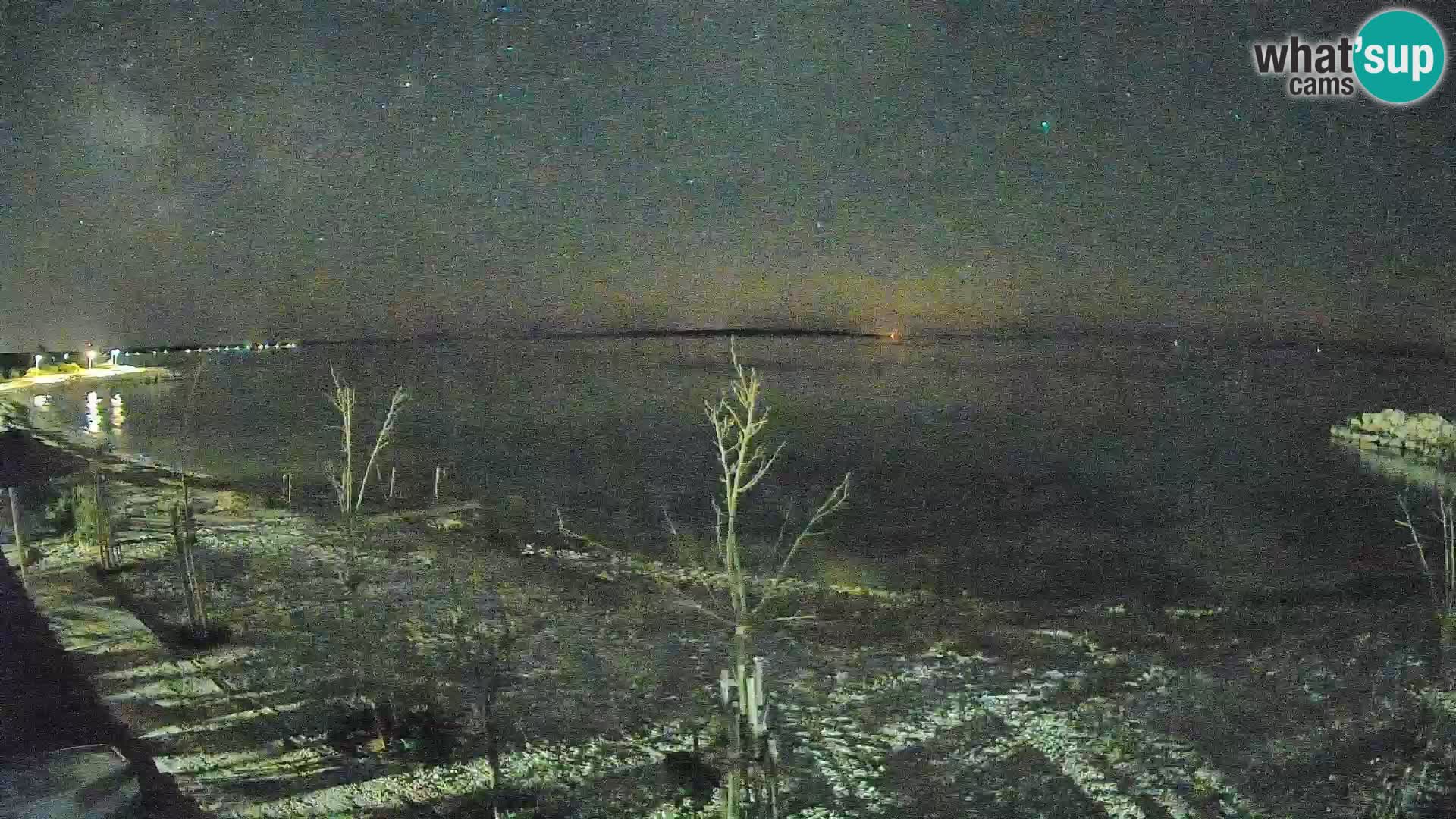 Live Webcam Gajac beach – Pag
