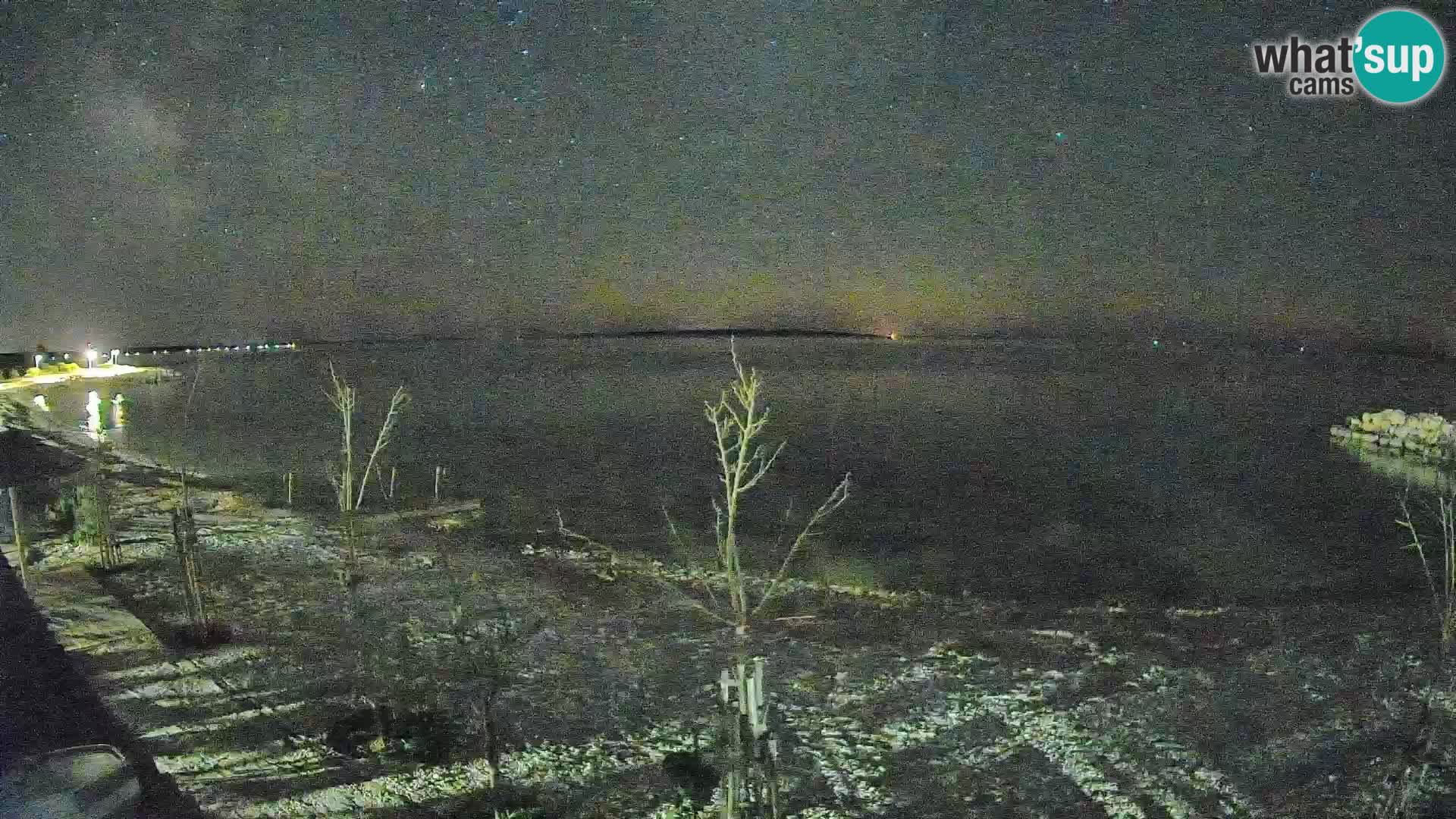 Live Webcam Gajac beach – Pag