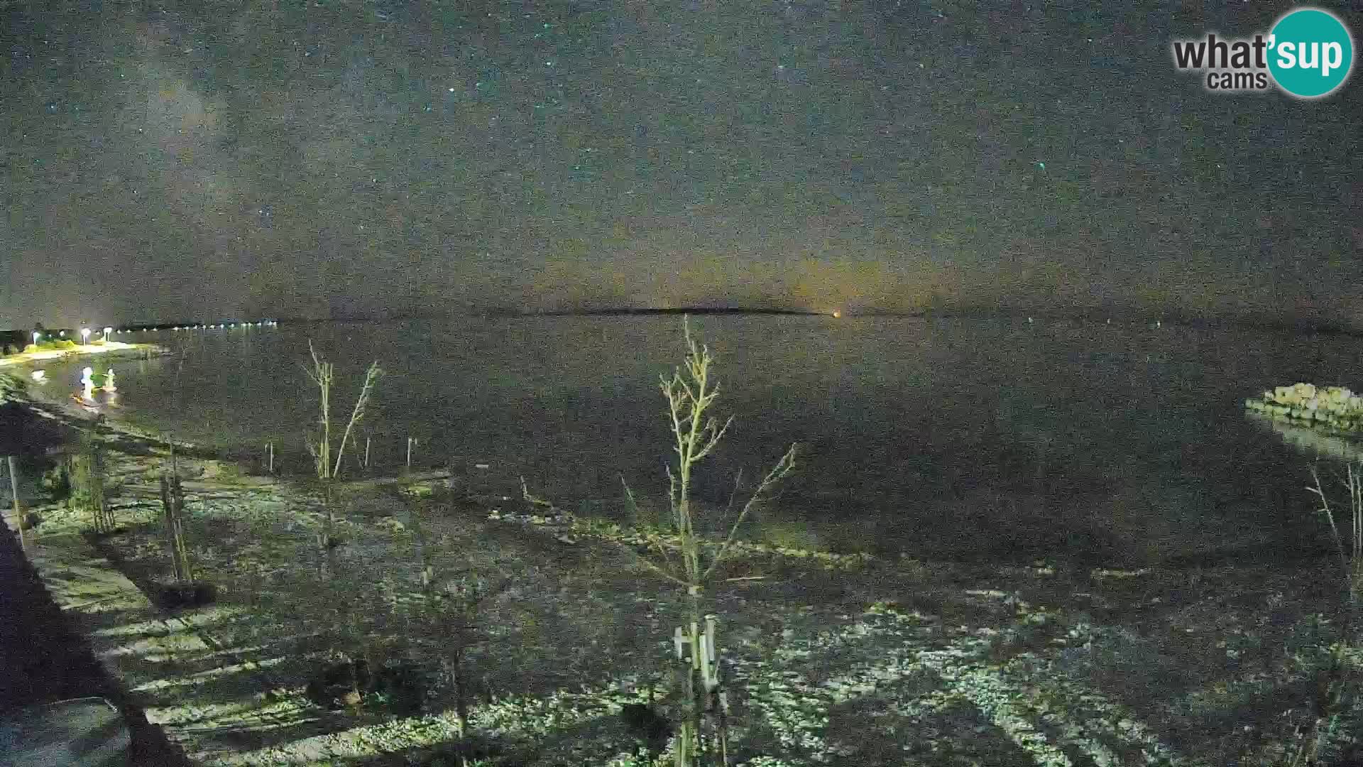 Webcam Strand in Gajac – Pag – Kroatien