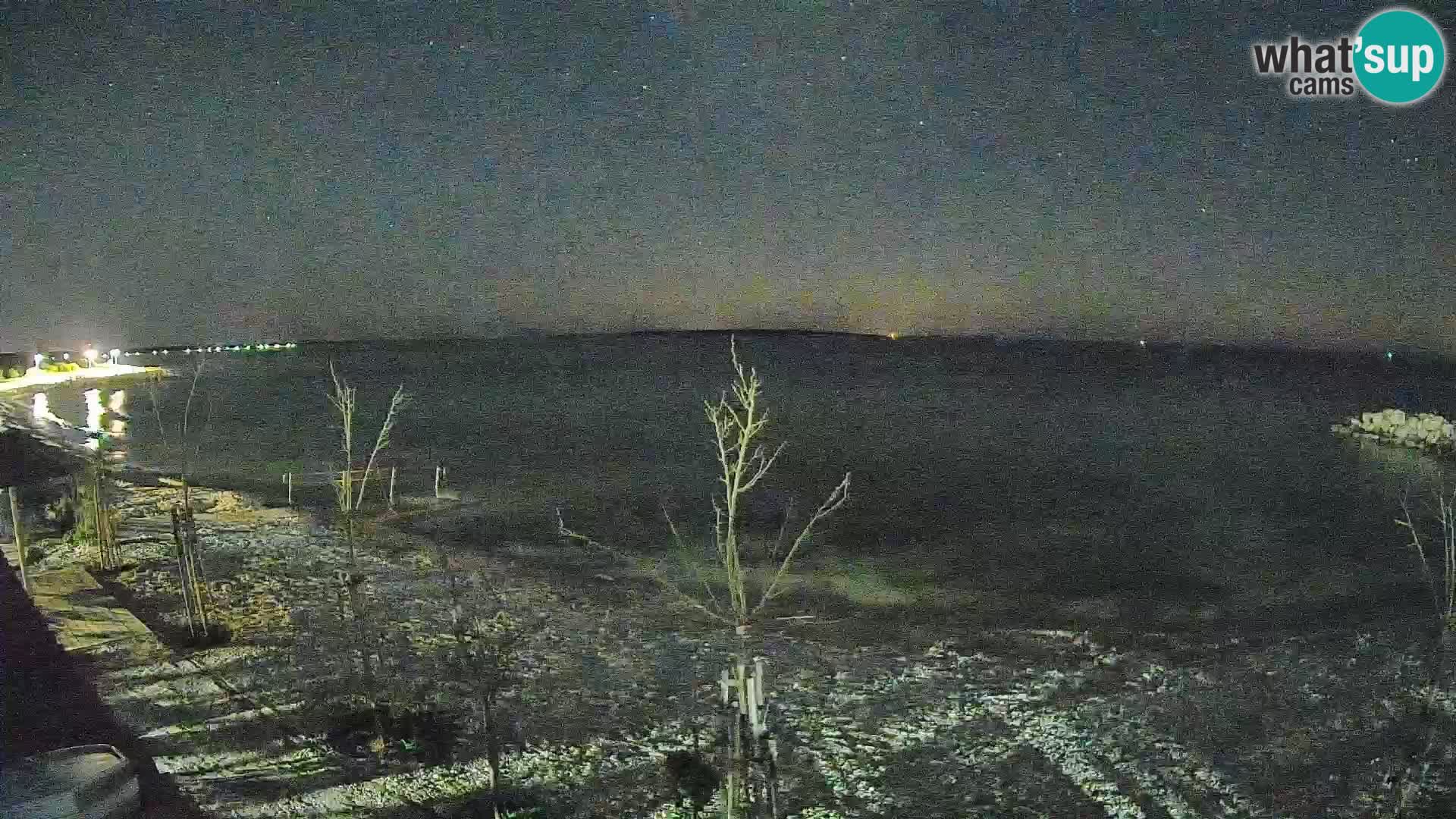 Live Webcam Gajac beach – Pag