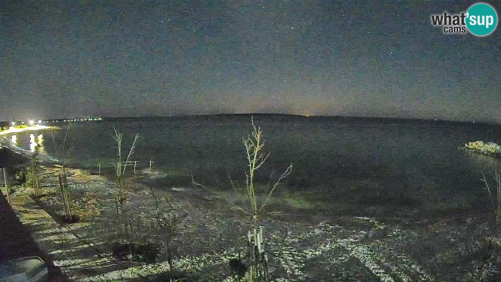 Webcam Strand in Gajac – Pag – Kroatien