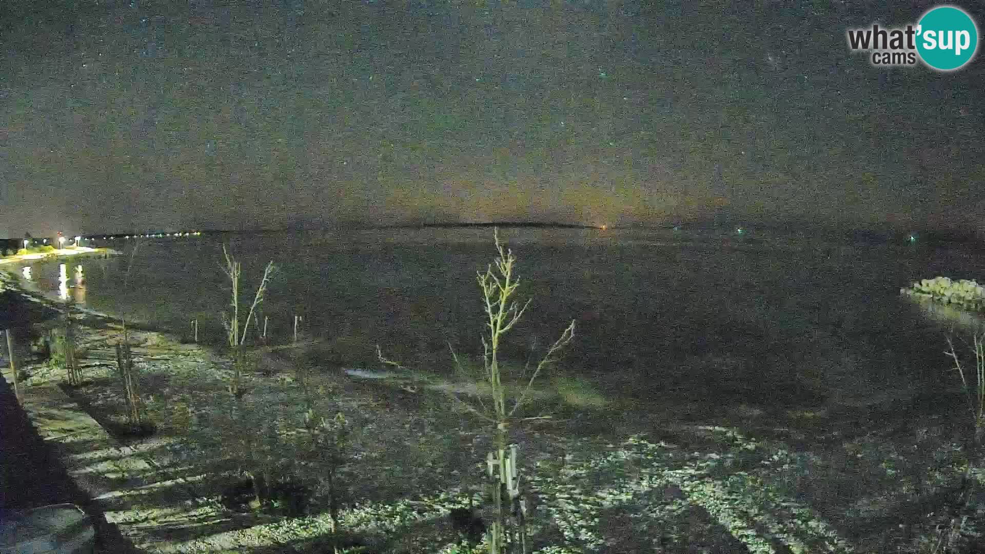 Webcam Strand in Gajac – Pag – Kroatien