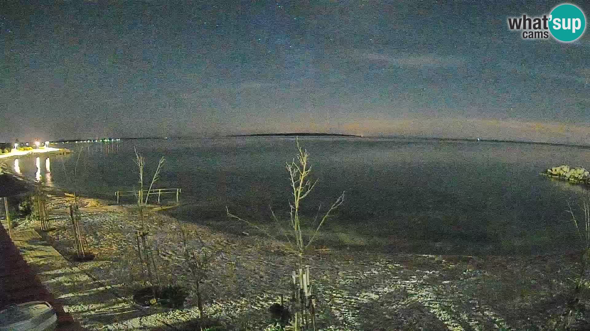 Webcam Strand in Gajac – Pag – Kroatien