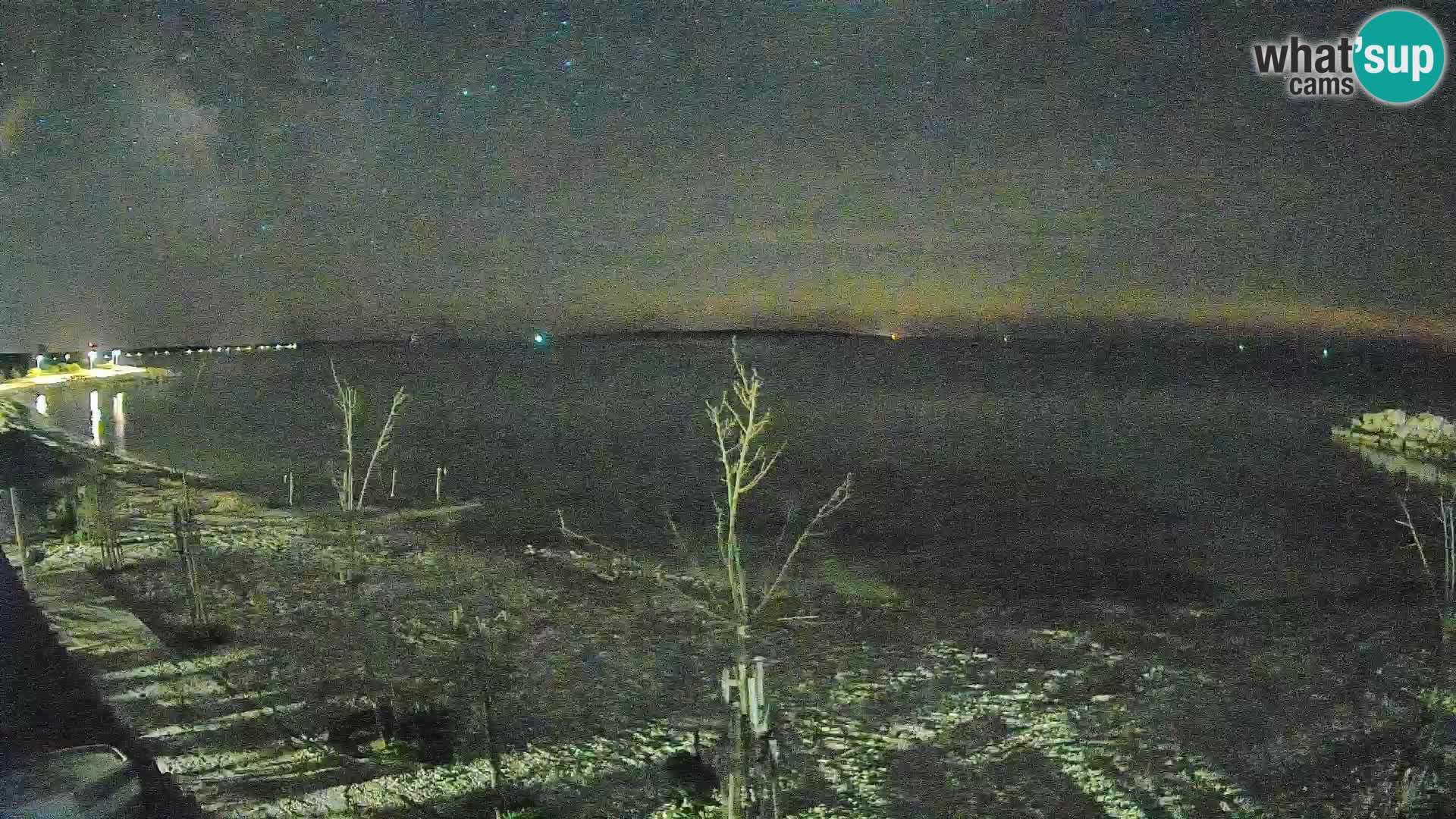 Webcam Strand in Gajac – Pag – Kroatien