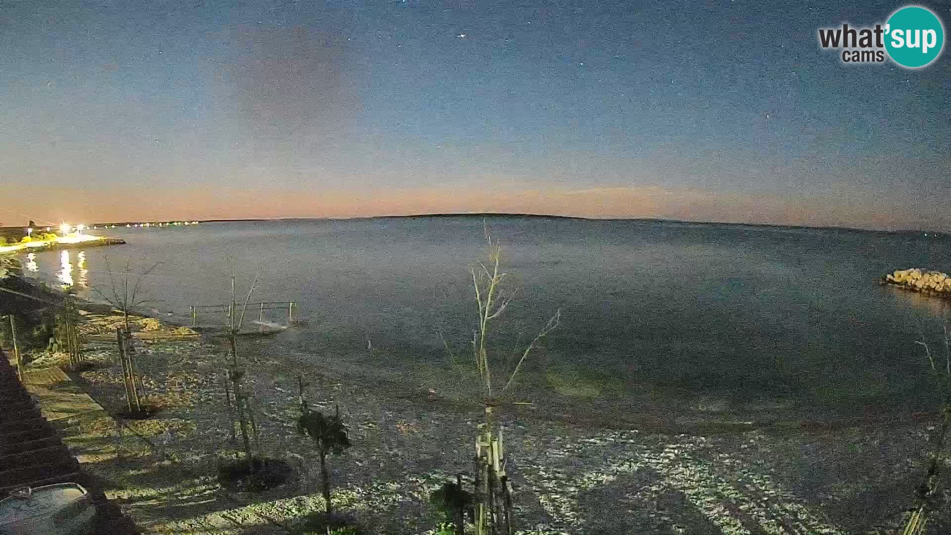Webcam Strand in Gajac – Pag – Kroatien