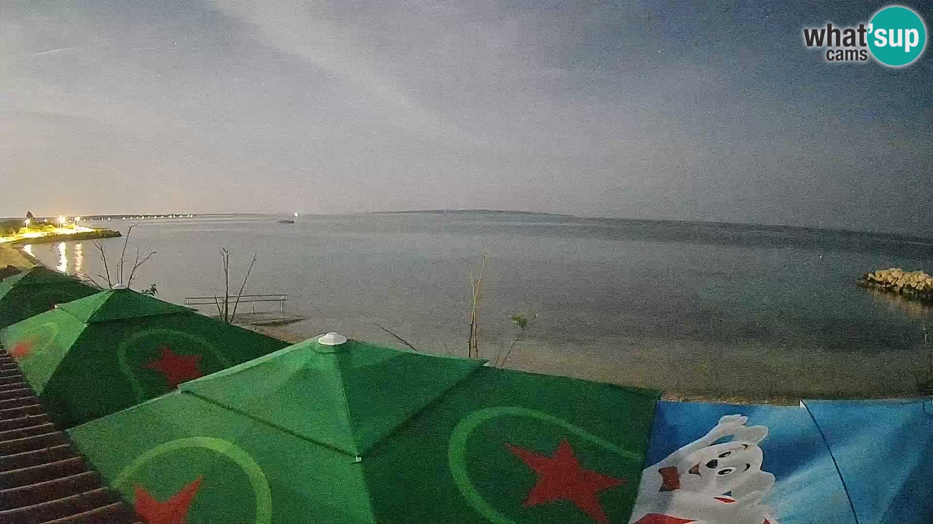 Live Webcam Gajac beach – Pag