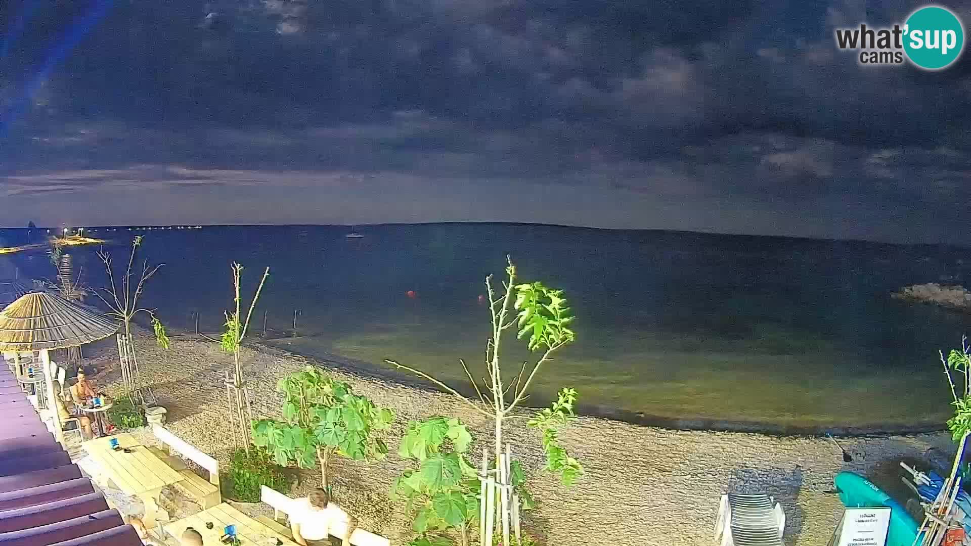 Webcam Strand in Gajac – Pag – Kroatien