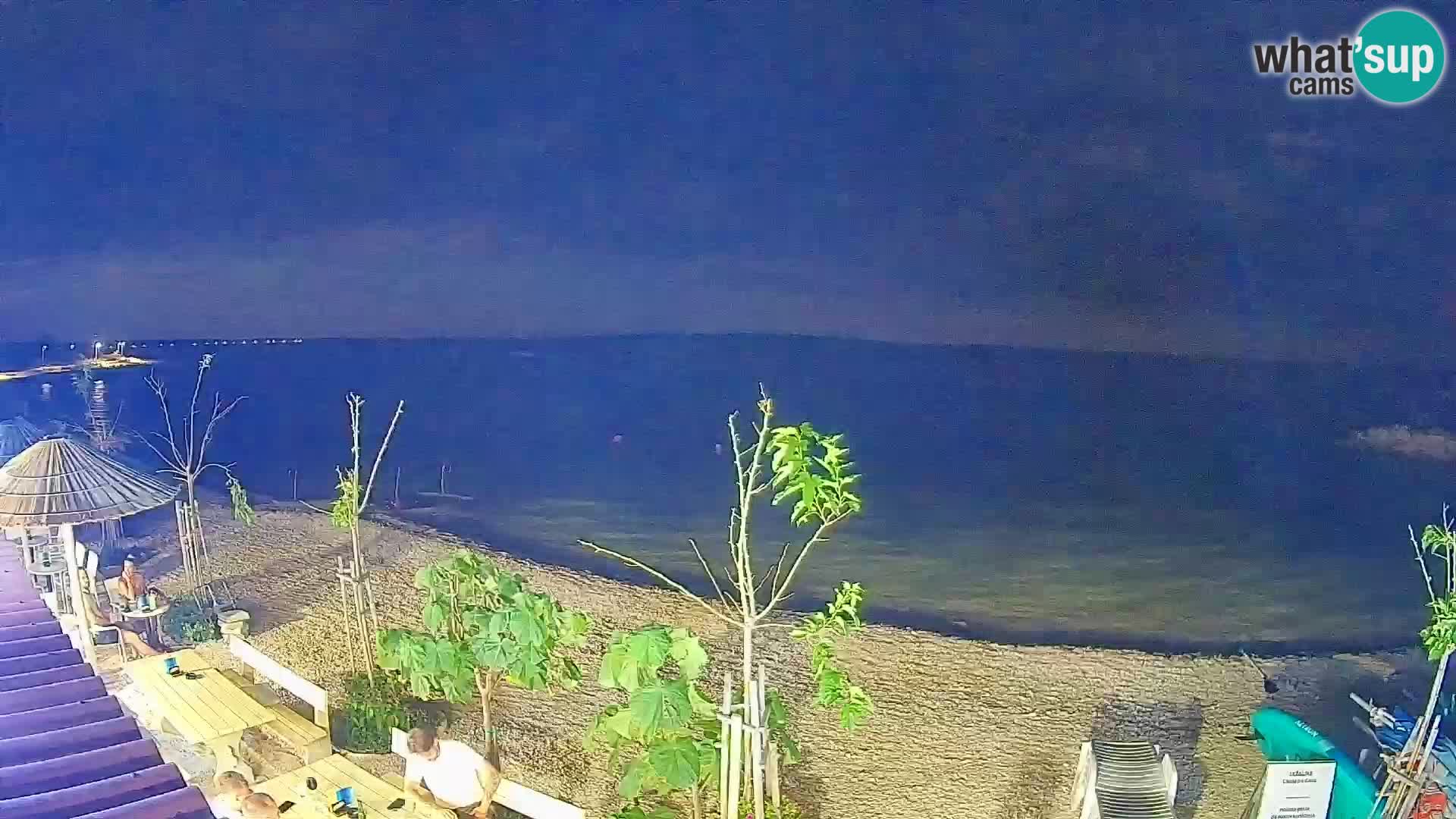Webcam Strand in Gajac – Pag – Kroatien