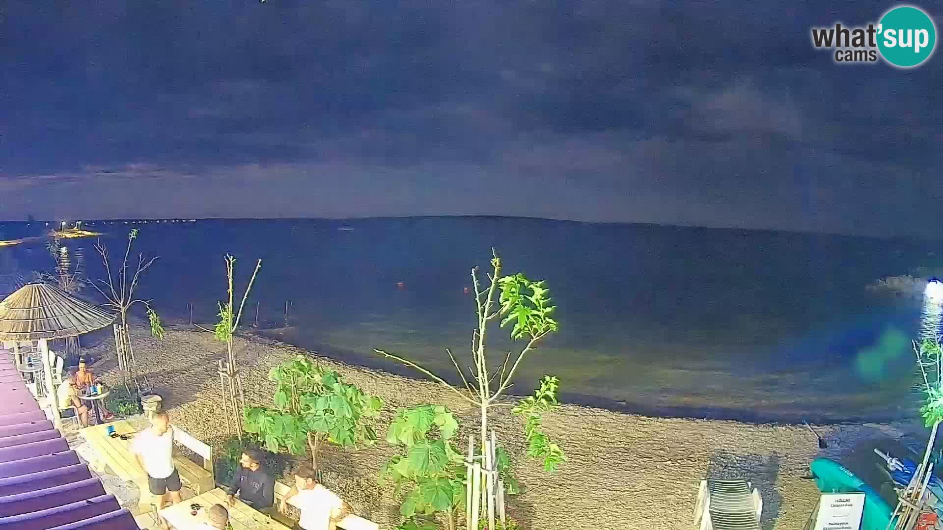 Webcam Strand in Gajac – Pag – Kroatien